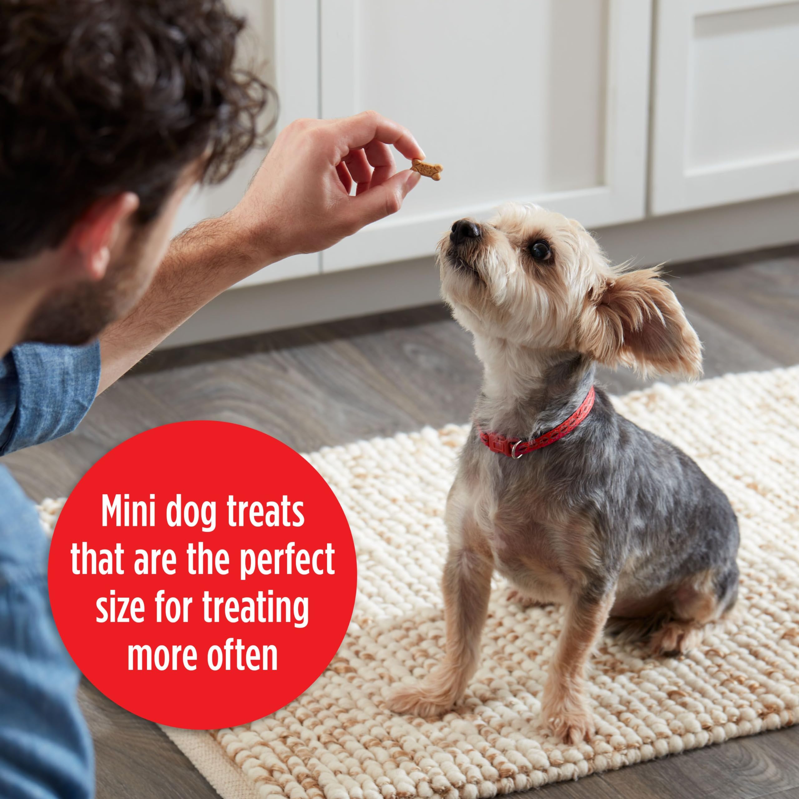 Milk-Bone Soft & Chewy Minis Dog Treats, Chicken, 18 Ounce Made with Real Chicken Breast