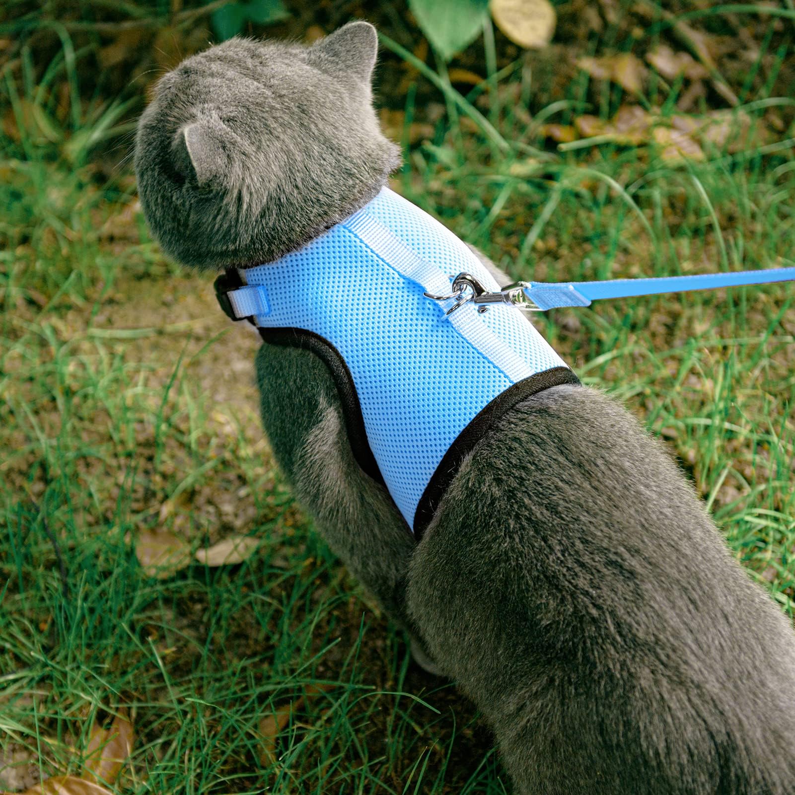 PUPTECK Soft Mesh Cat Vest Harness & Leash Set, Escape Proof for Small Dogs & Cats, Blue, S (Neck 6", Chest 8.5")