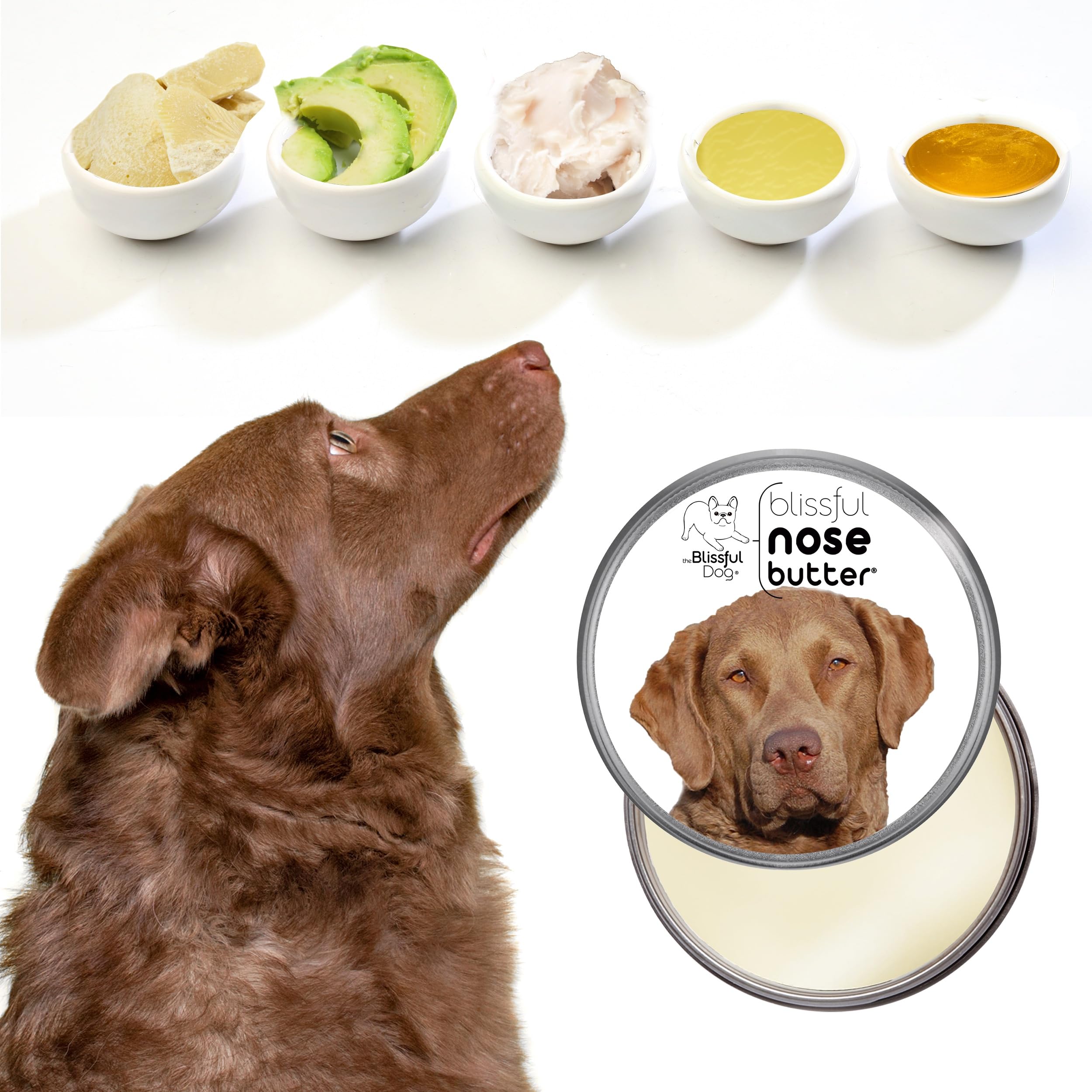 The Blissful Dog Chesapeake Bay Retriever Unscented Nose Butter, 4-Ounce