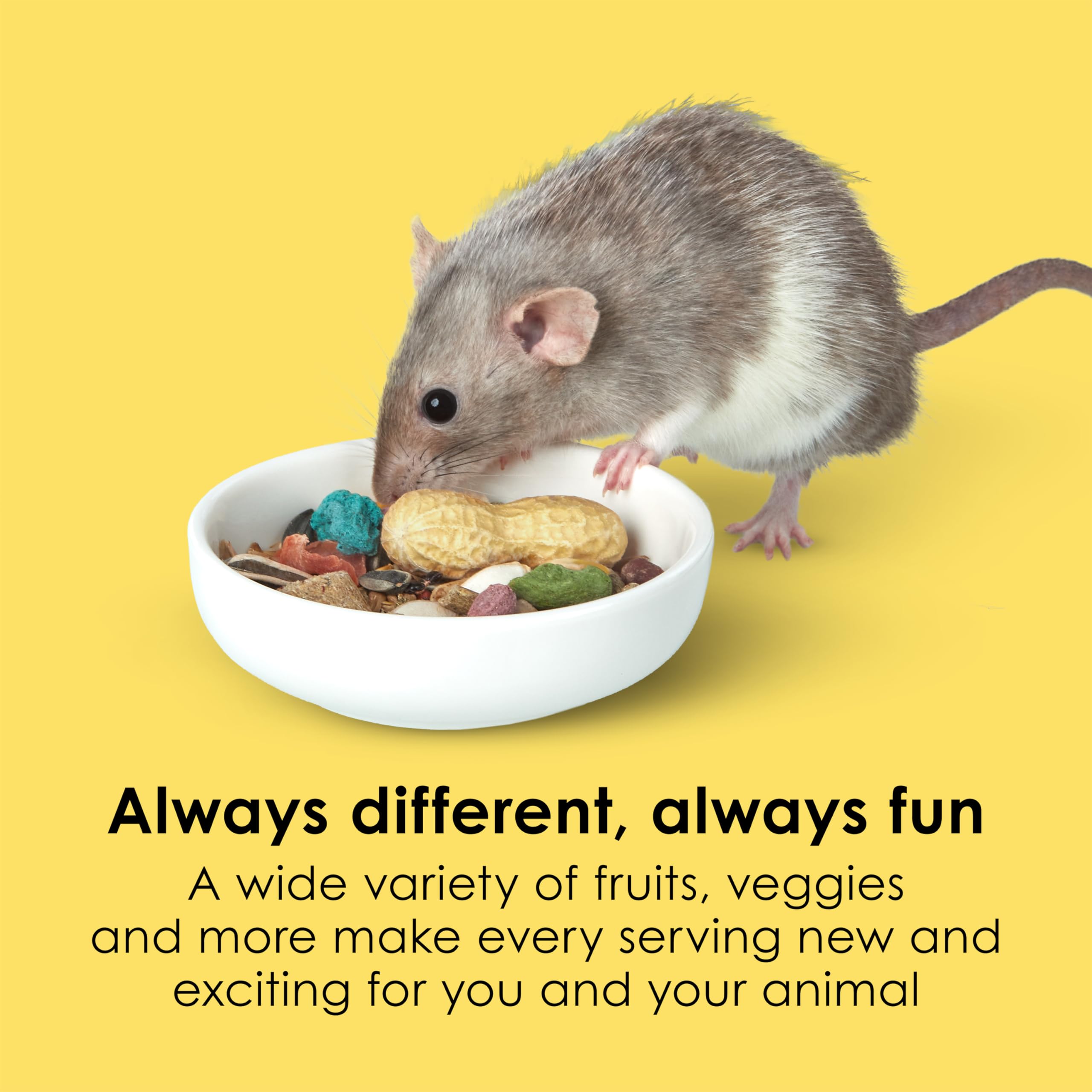 Kaytee Fiesta Mouse and Rat Food 2 lb