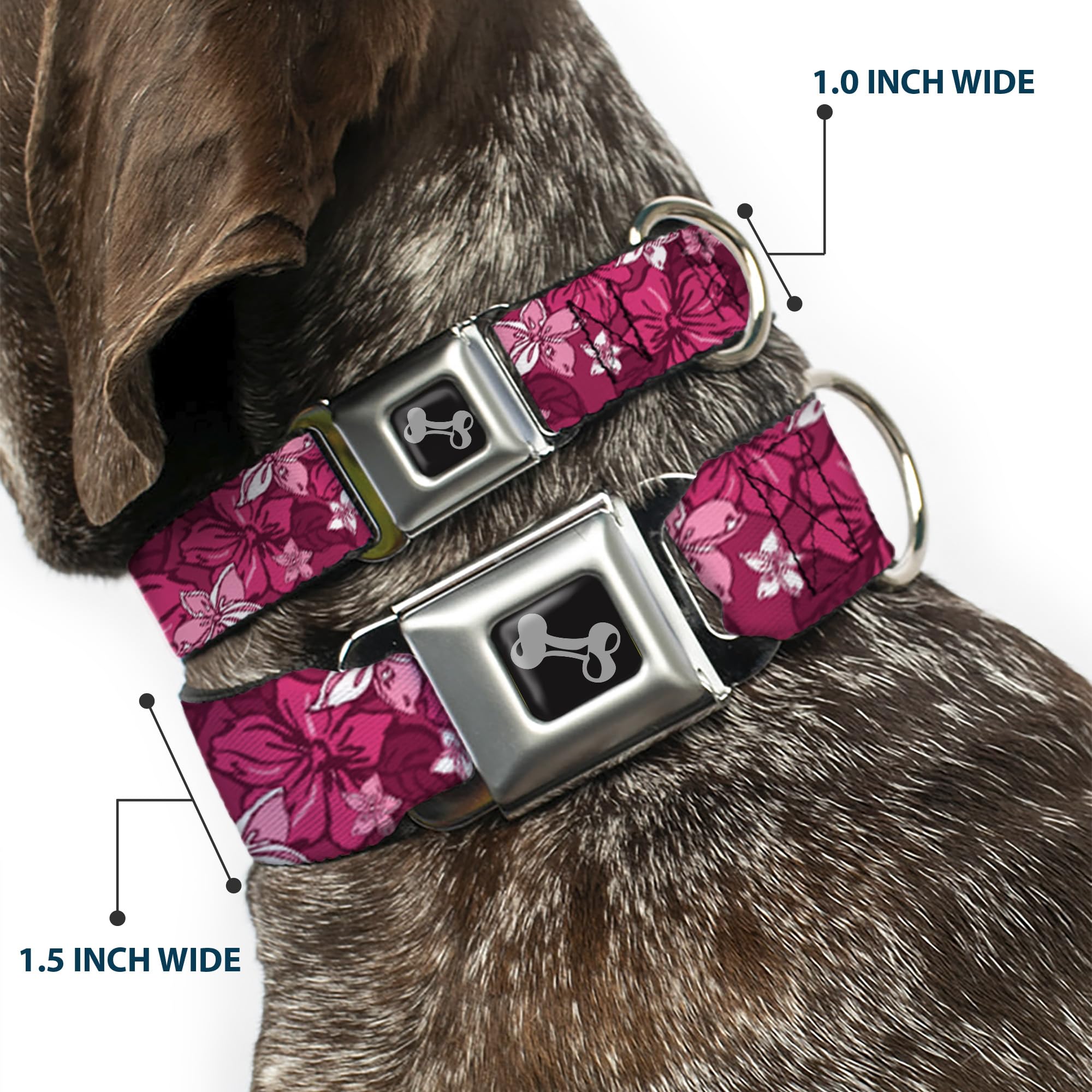 Buckle-Down Seatbelt Buckle Dog Collar - Hibiscus Collage Pink Shades - 1' Wide - Fits 11-17' Neck - Medium (Dc-W30876-M)