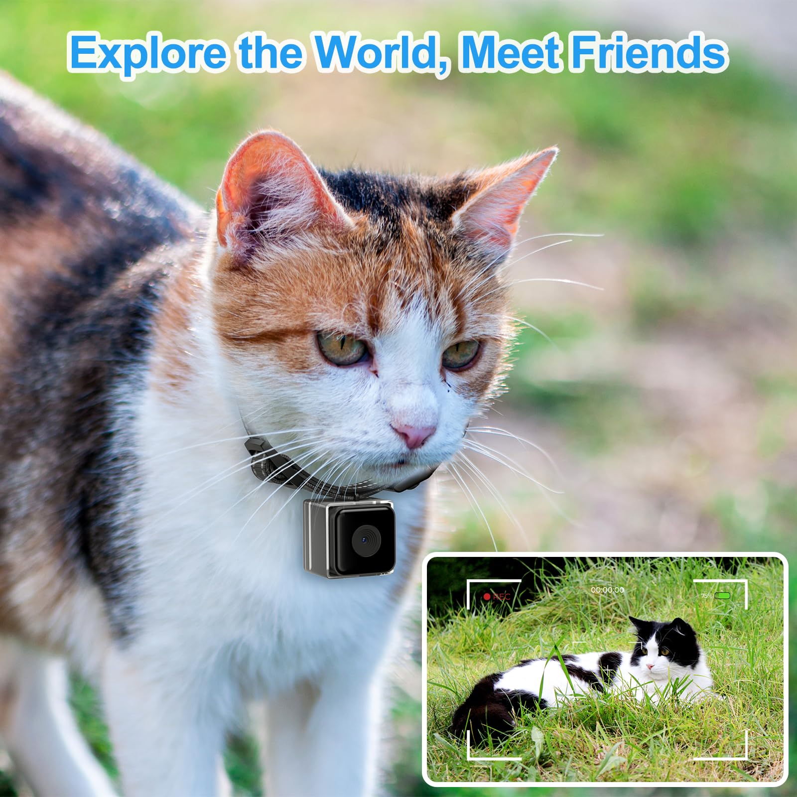 Kinetcam Cat Camera Collar,No App No Wifi Needed Cordless Cat Collar Camera With Video Record, M-Size Collar For Dogs/Big Cats,P