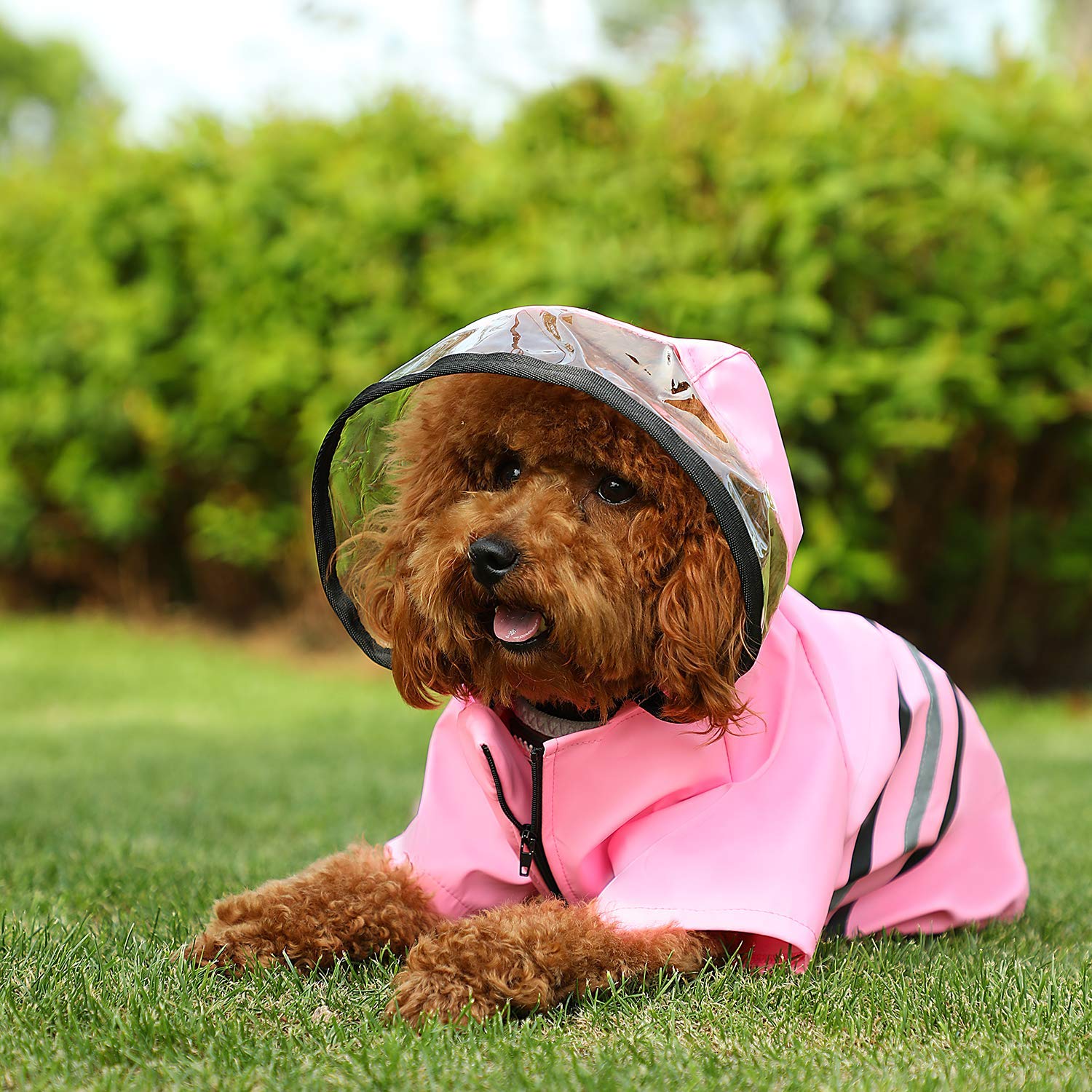 Wizland Reflective Dog Raincoat Dog Rain Jacket With Hood Lightweight Waterproof Rain Coat For Puppies (Pink M)