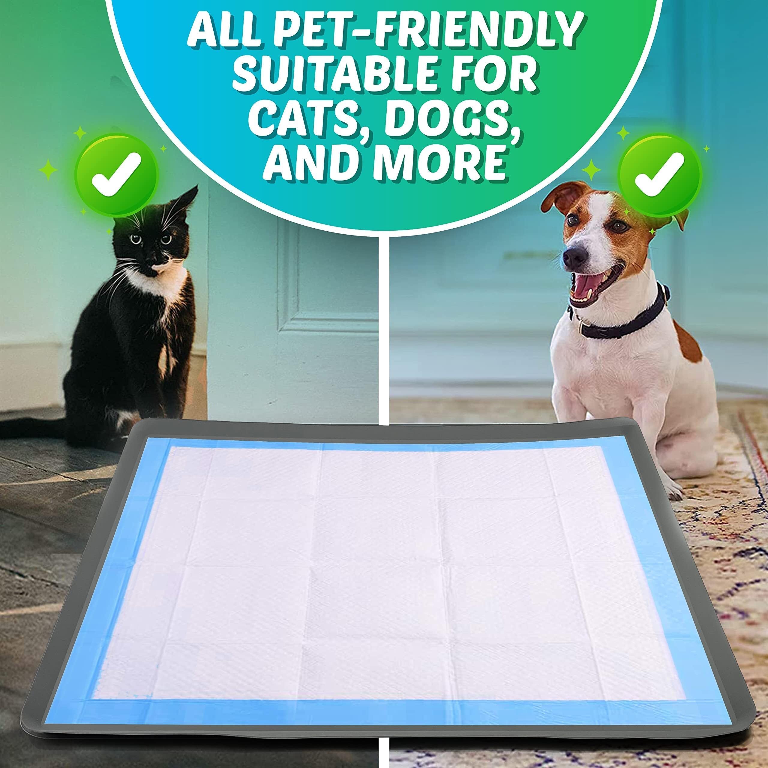 Tidyfriend Dog Pad Holder Tray 36 X 36 Inches - Silicon Wee Wee Pad For Training, No Spill Pee Pad For Dogs - Easy To Clean And