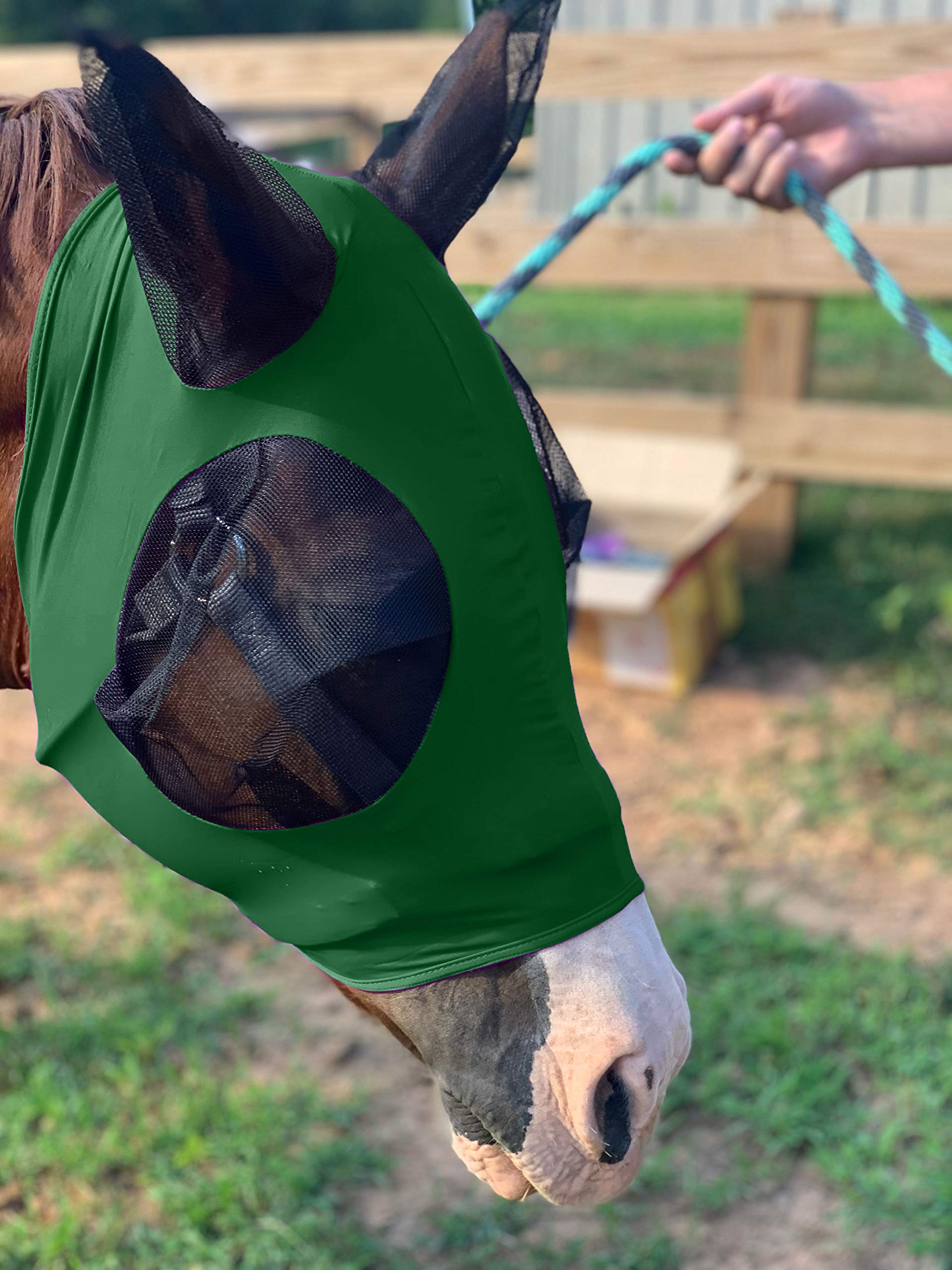 Stretchy Horse Fly Mask with Ears Comfort Fit Mesh Trail Pasture Sun UV Protection (Arab/Cob/Small Quarter, Hunter Green)