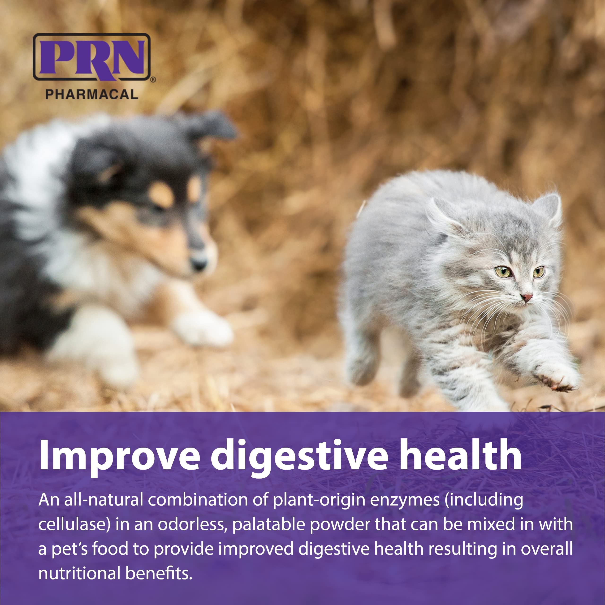 PRN Pharmacal ProZyme Original Formula Enzyme Replacement Supplement - Reinforces Animals Digestive System, Supports Dog & Cat
