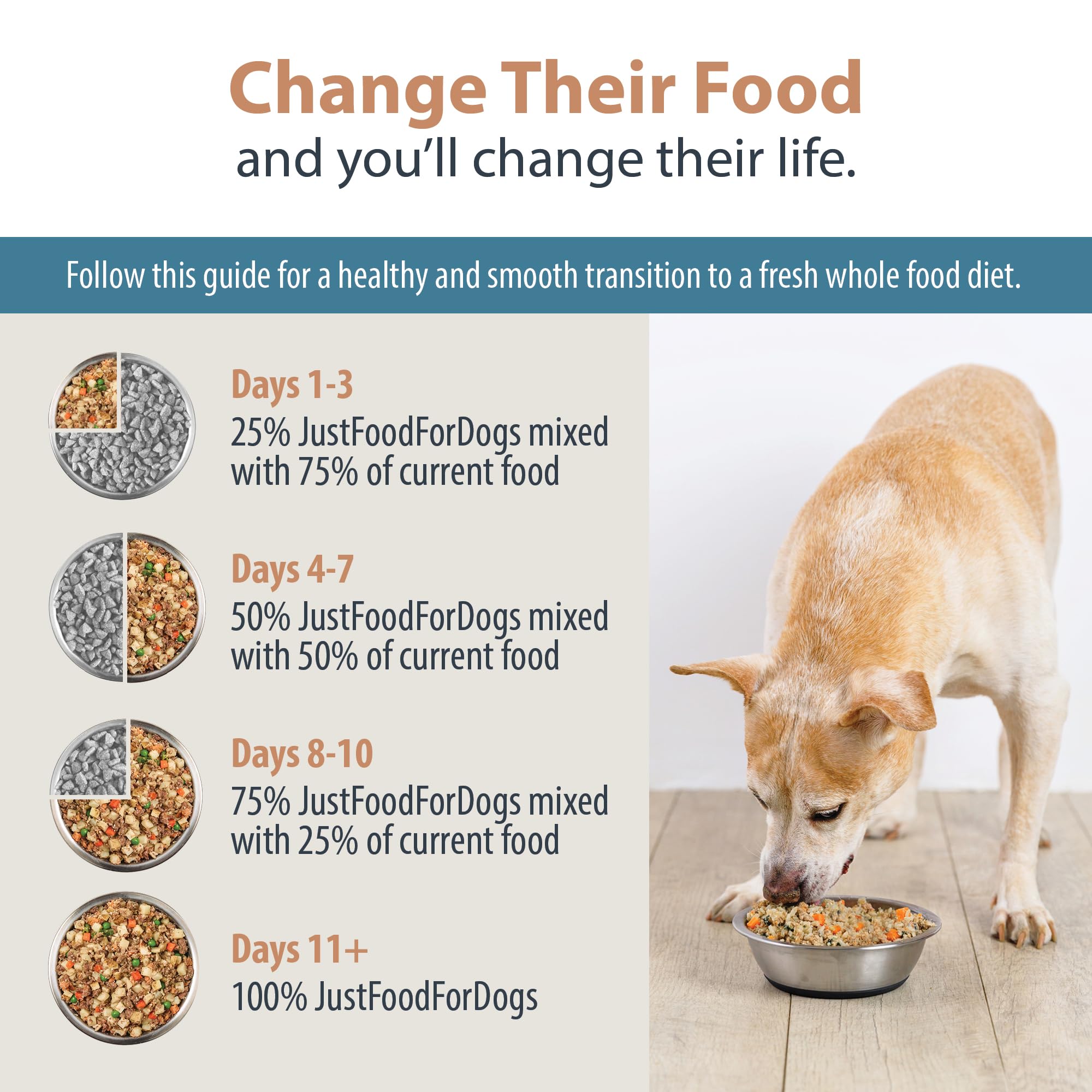 JustFoodForDogs DIY Nutrient Blend for Homemade Dog Food, Beef & Russet Potato, 4.55oz