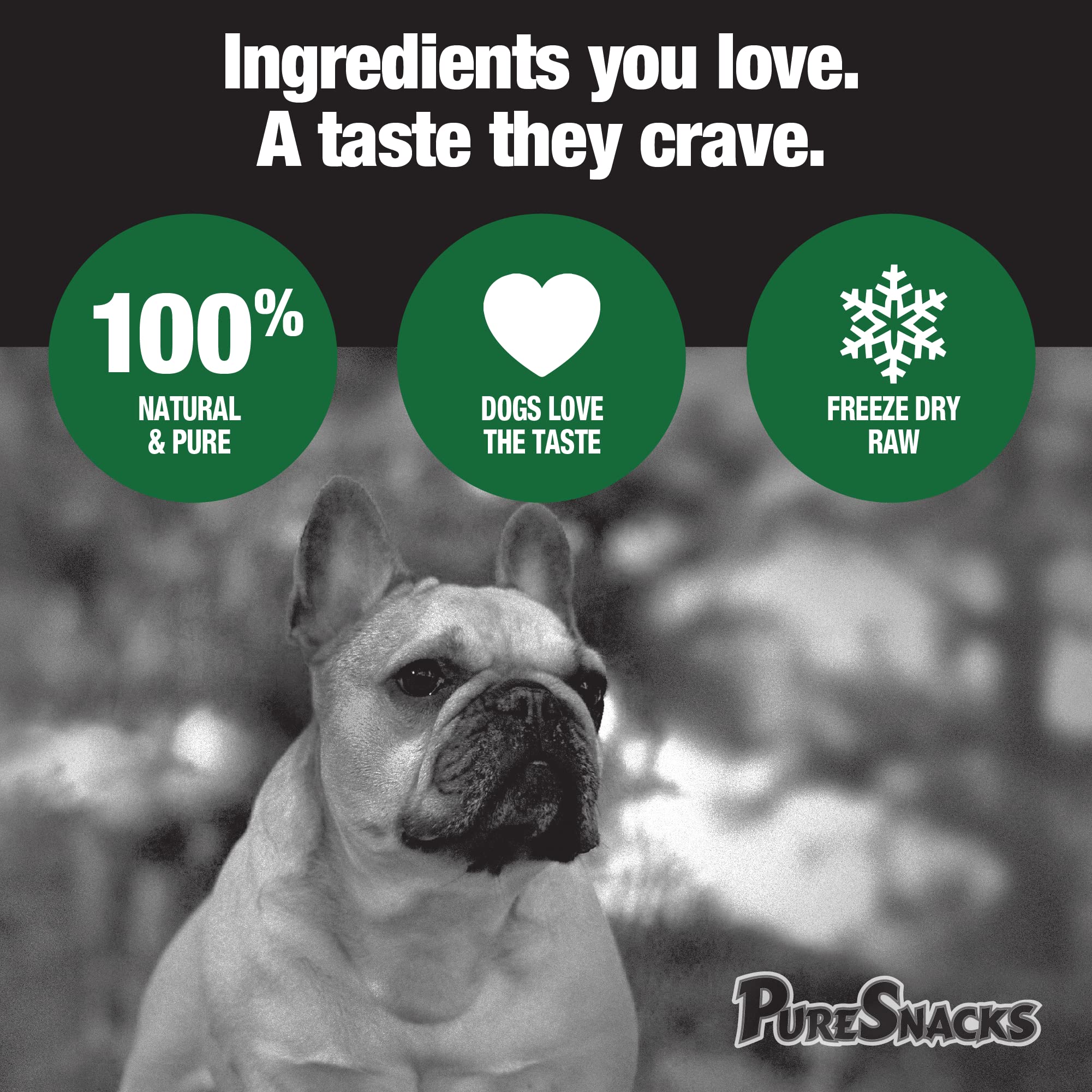 PureSnacks Beef Liver Freeze-Dried Treats for Dogs, 14.4oz | 410g - Super Value Size, 2PS410BL4