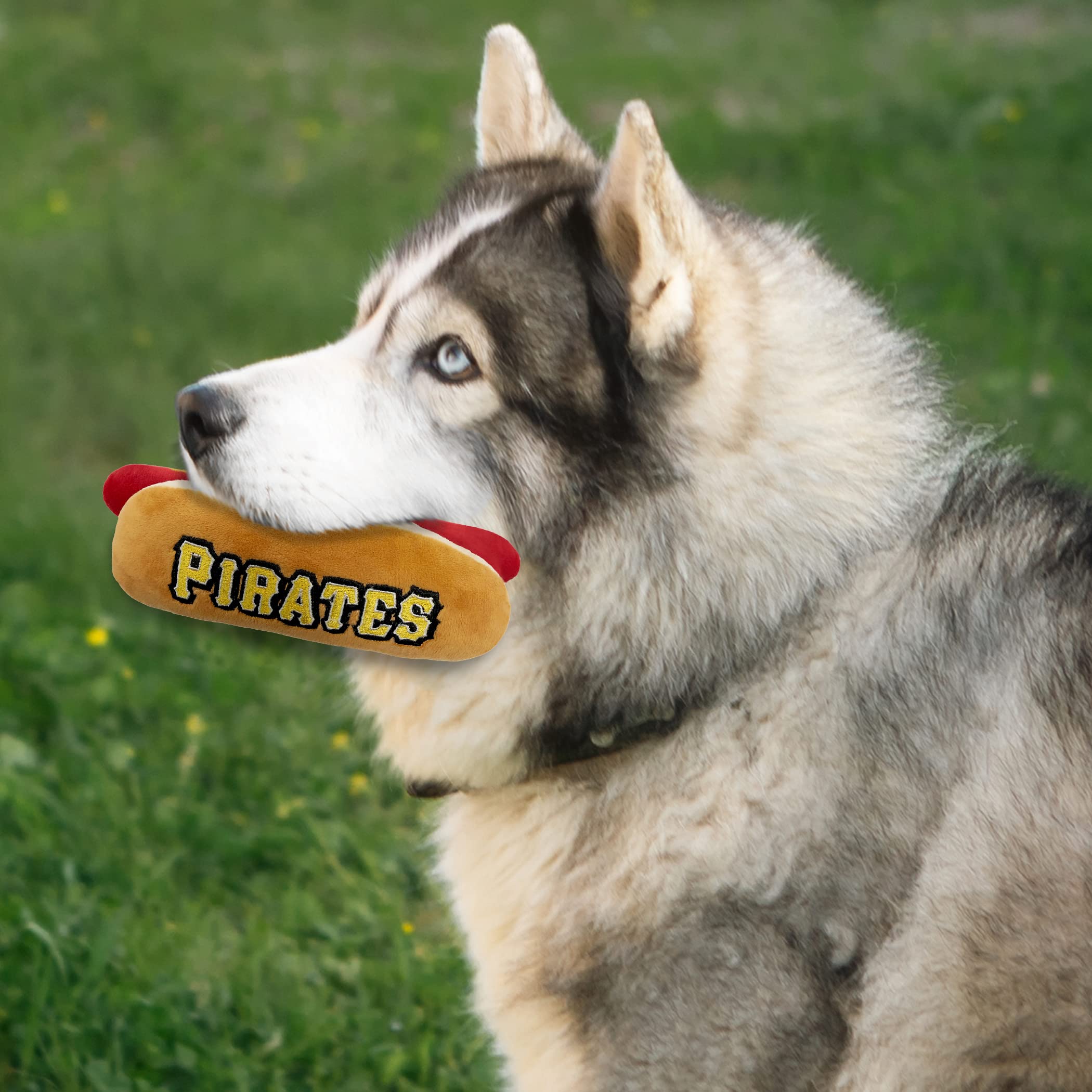 Pets First Mlb Pittsburgh Pirates Plush Dog Toys - Stadium Theme Snacks - Cutest Plush Hot-Dog Toy For Dogs & Cats With Inner Sq