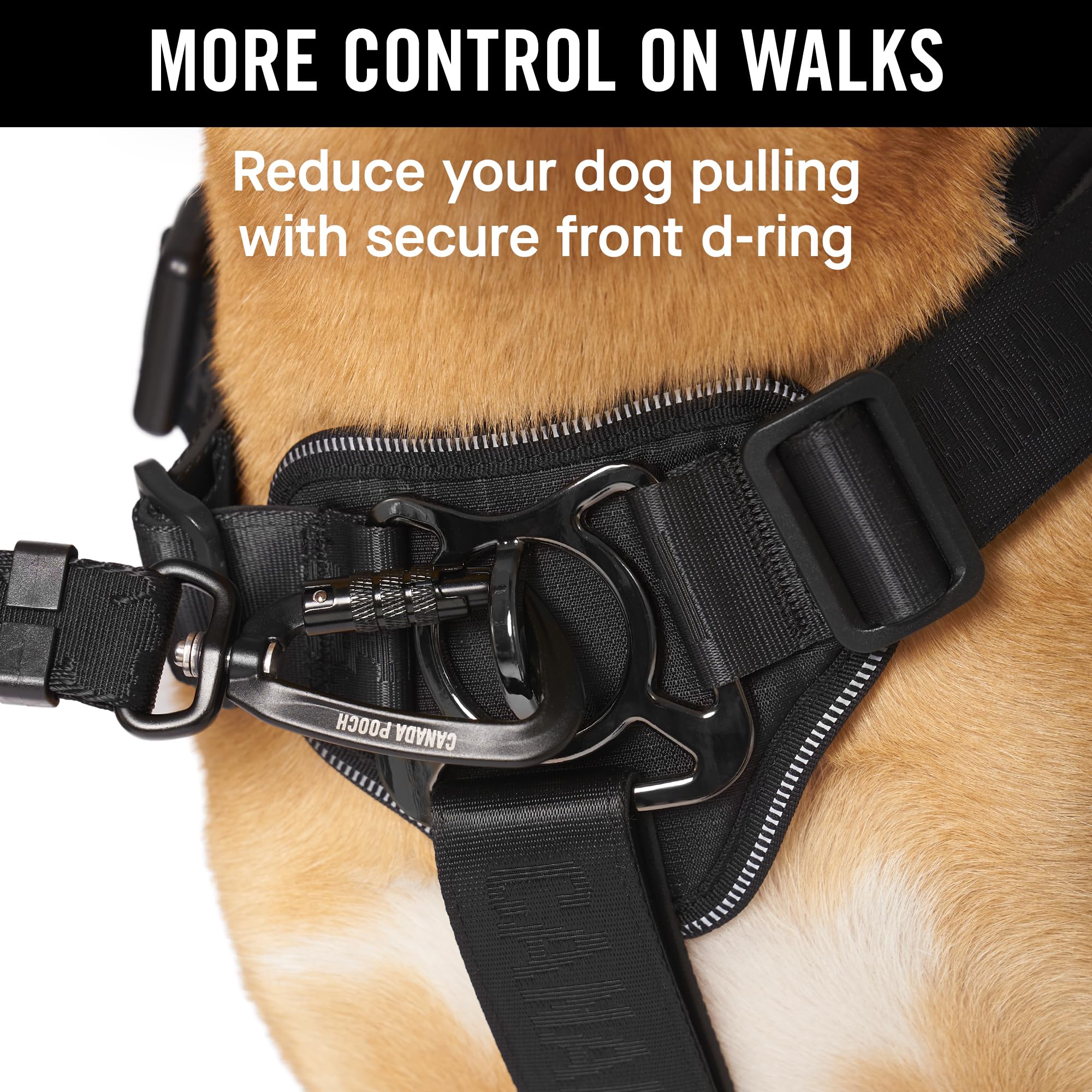 Canada Pooch Complete Control Dog Harness, Black, X-Large