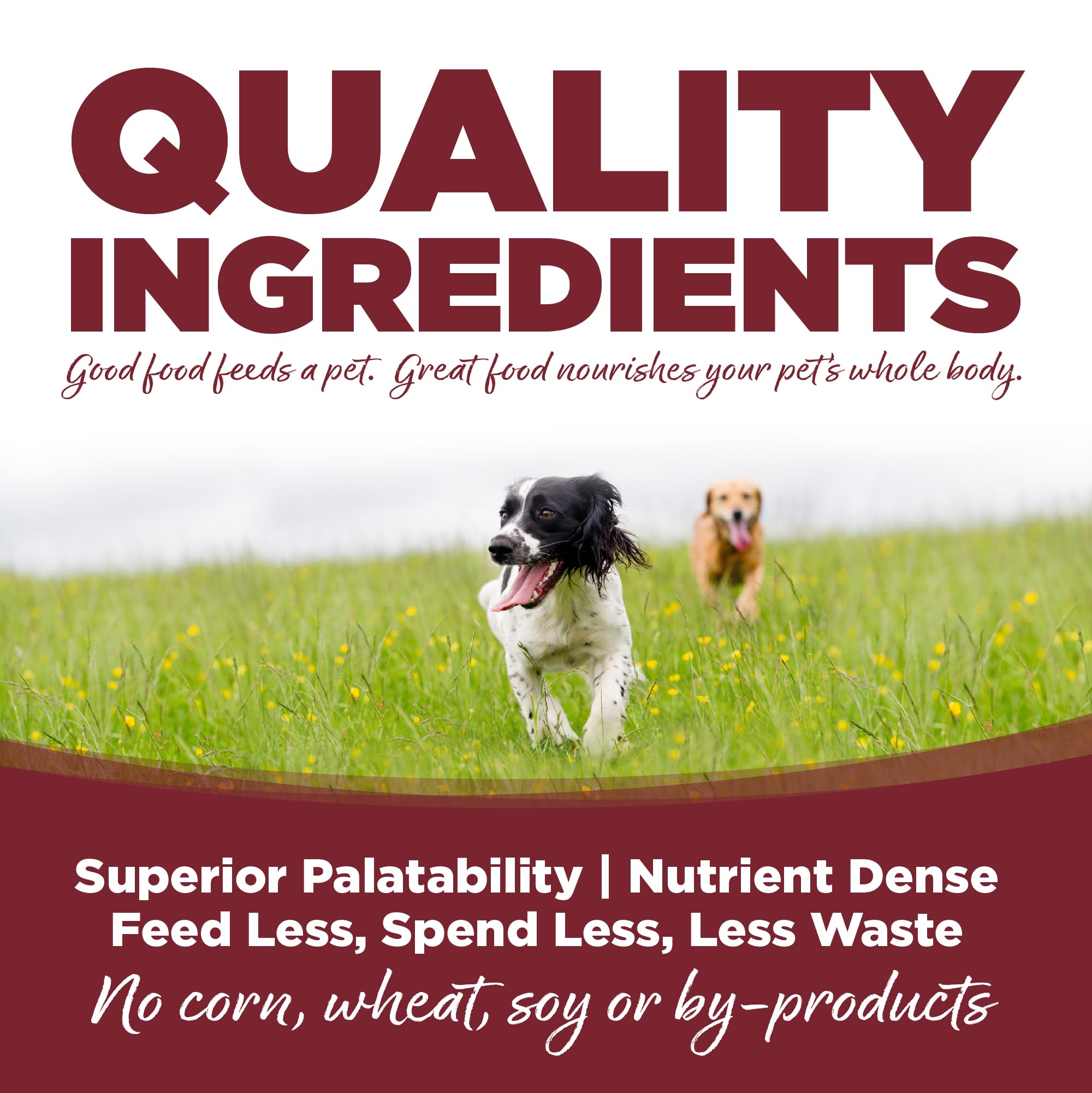 NutriSource Dry Dog Food, Beef and Rice, 12LB