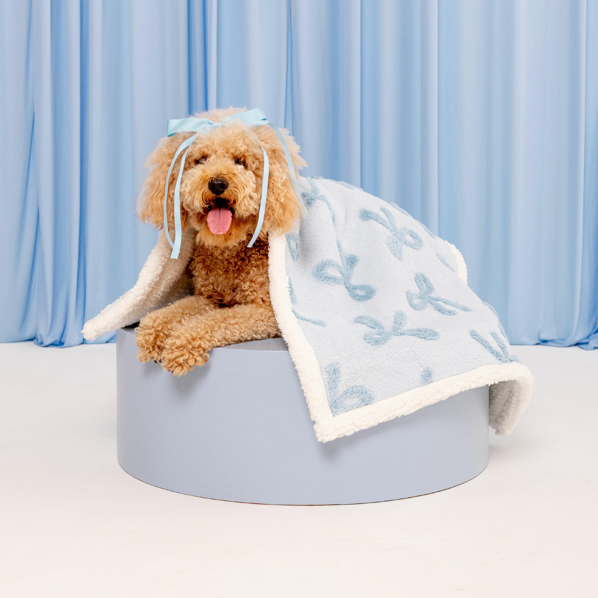 Lesure Waterproof Puppy Blanket For Small Dogs - Washable Double Sided Dog Blankets With Warm Jacquard Shag And Soft Sherpa Flee