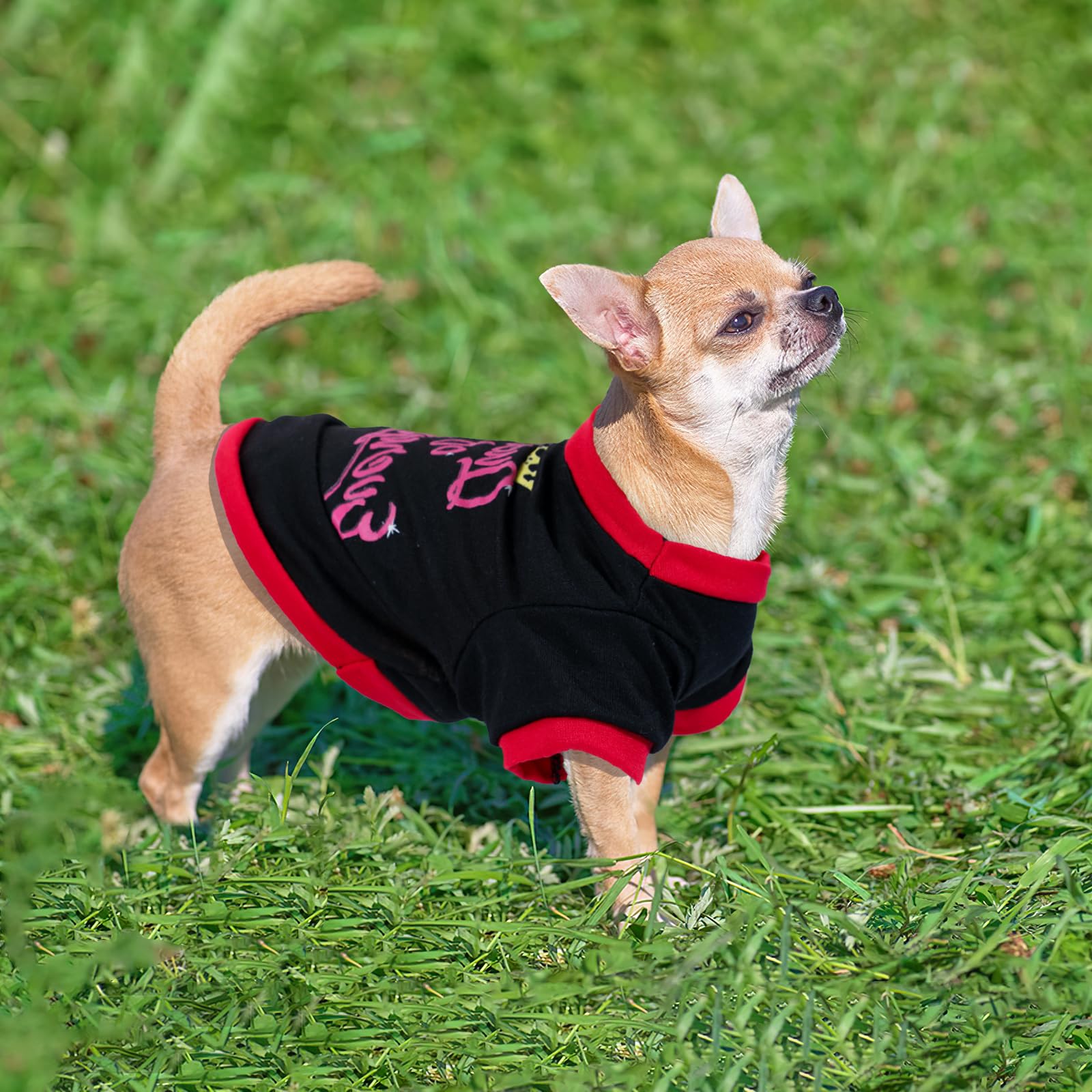 4 Pieces Dog Shirts Summer Dog Clothes Cute Soft Breathable Outfit Pet T-Shirt Puppy Clothes For Small Dogs Girl And Cat (X-Smal