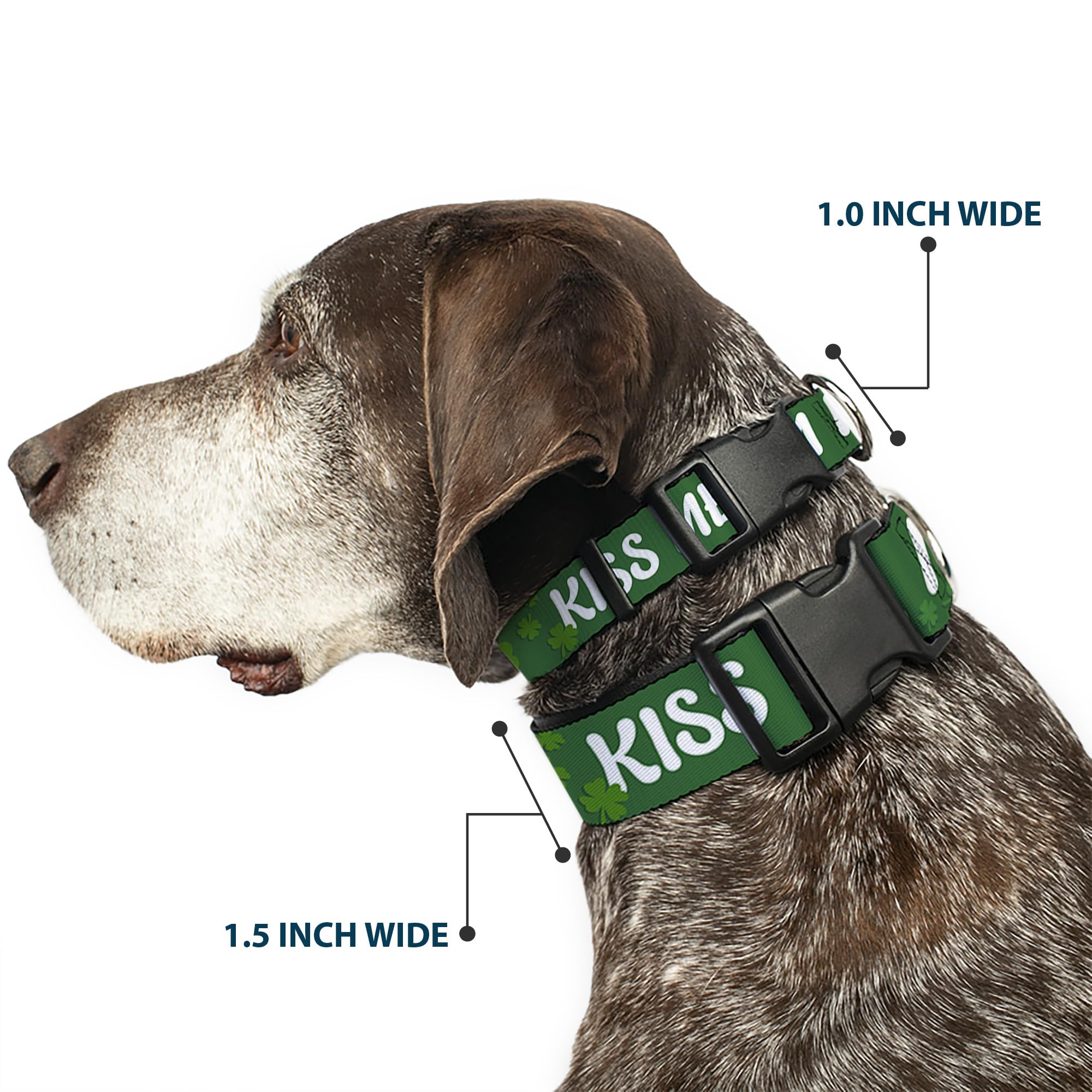 Buckle-Down 9-15' Kiss Me, I'M Irish! Clovers Green/White Plastic Clip Collar, Narrow Large