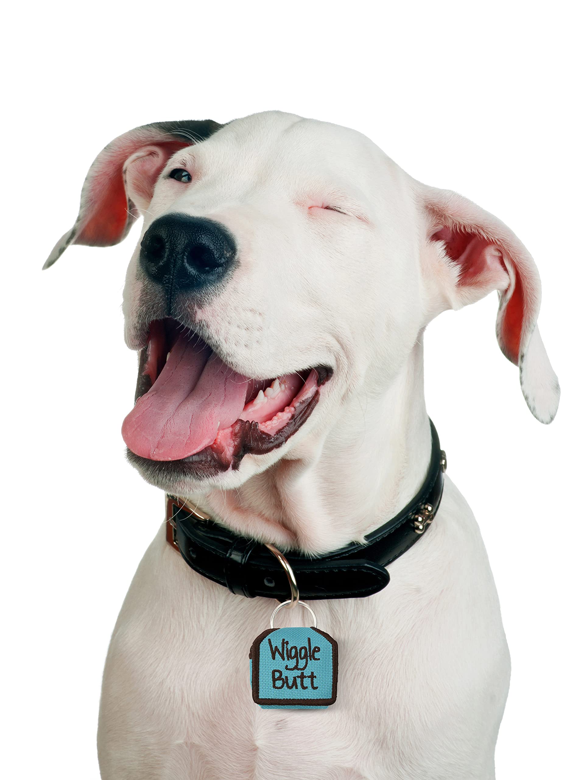 The Tag Bag - Dog Tag Silencer (Wiggle Butt/Teal)