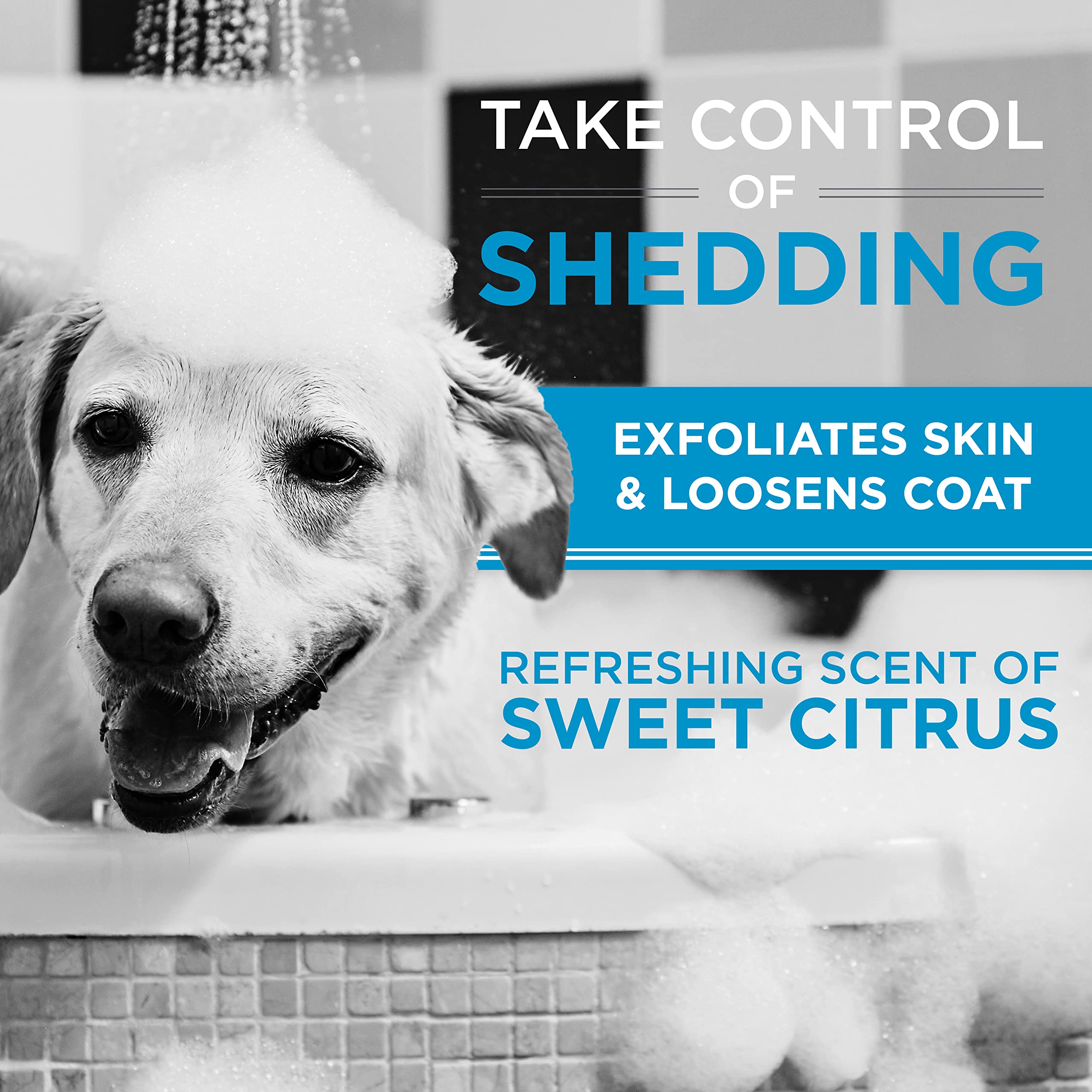 Tropiclean Perfect Fur Deodorizing And Deshedding Dog Shampoo For Smelly Dogs, For Breeds With Short Double Coats Like Corgis, L