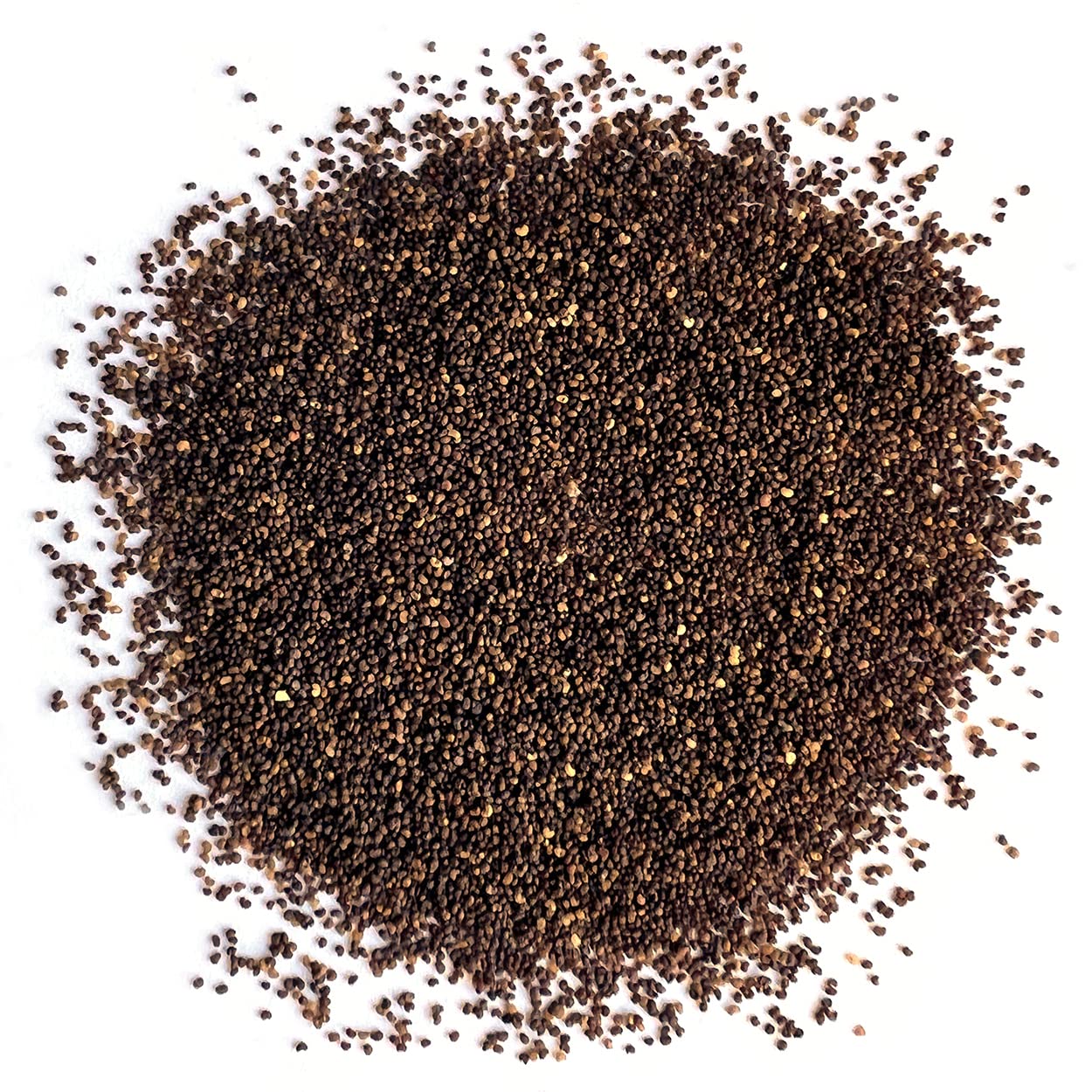 The Old Farmer's Almanac Poppy Seeds - Non-GMO, Open Pollinated, Approx 5000 Seeds, Small Size, Red Color