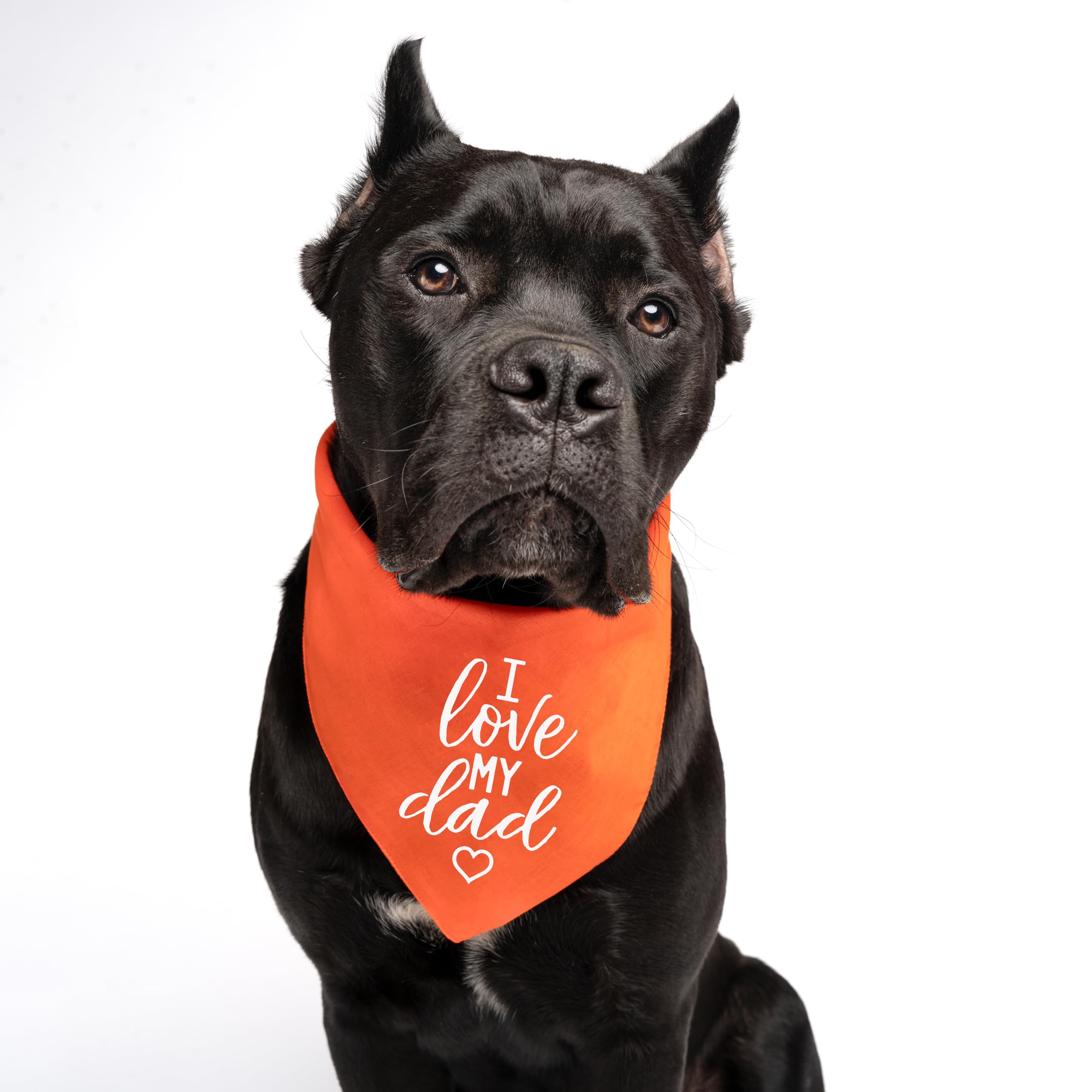 I Love My Dad Valentine'S Day, Father'S Day Dog Bandana (Royal, Os 178)
