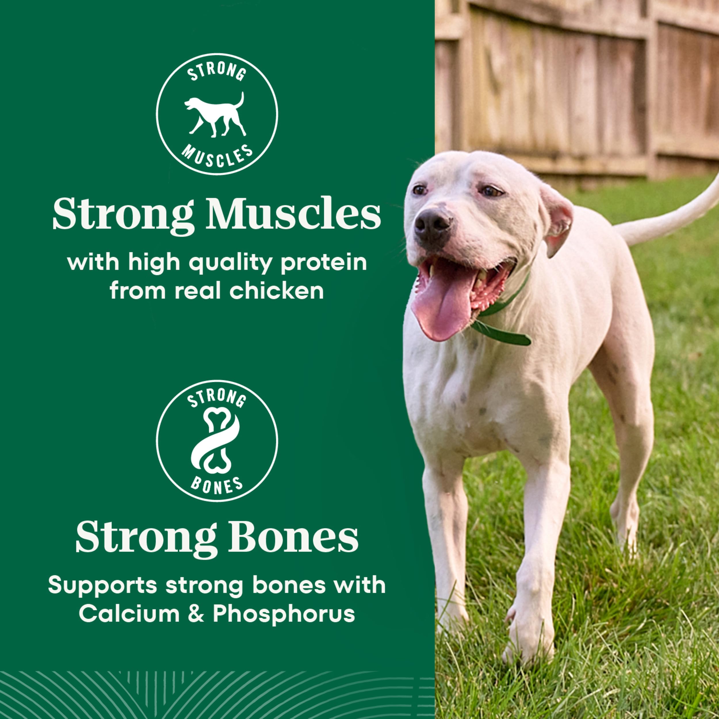 Nutro Natural Choice Adult Large Breed Dry Dog Food, Lamb and Brown Rice Recipe, 36 lbs.