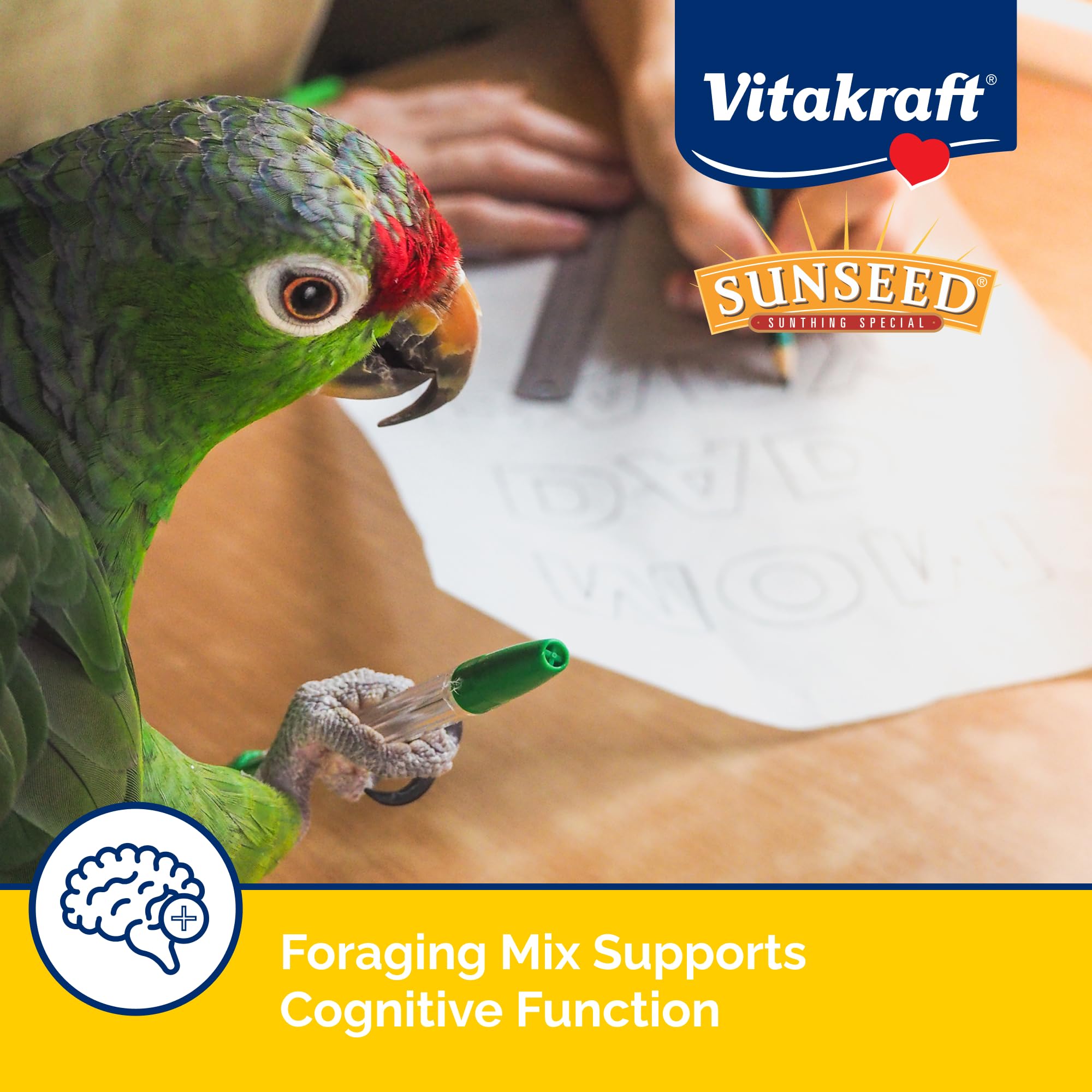 Sunseed Vita Prima Wholesome Nutrition Safflower Formula Large Parrot Food, 4 LBS, Model Number: 59758