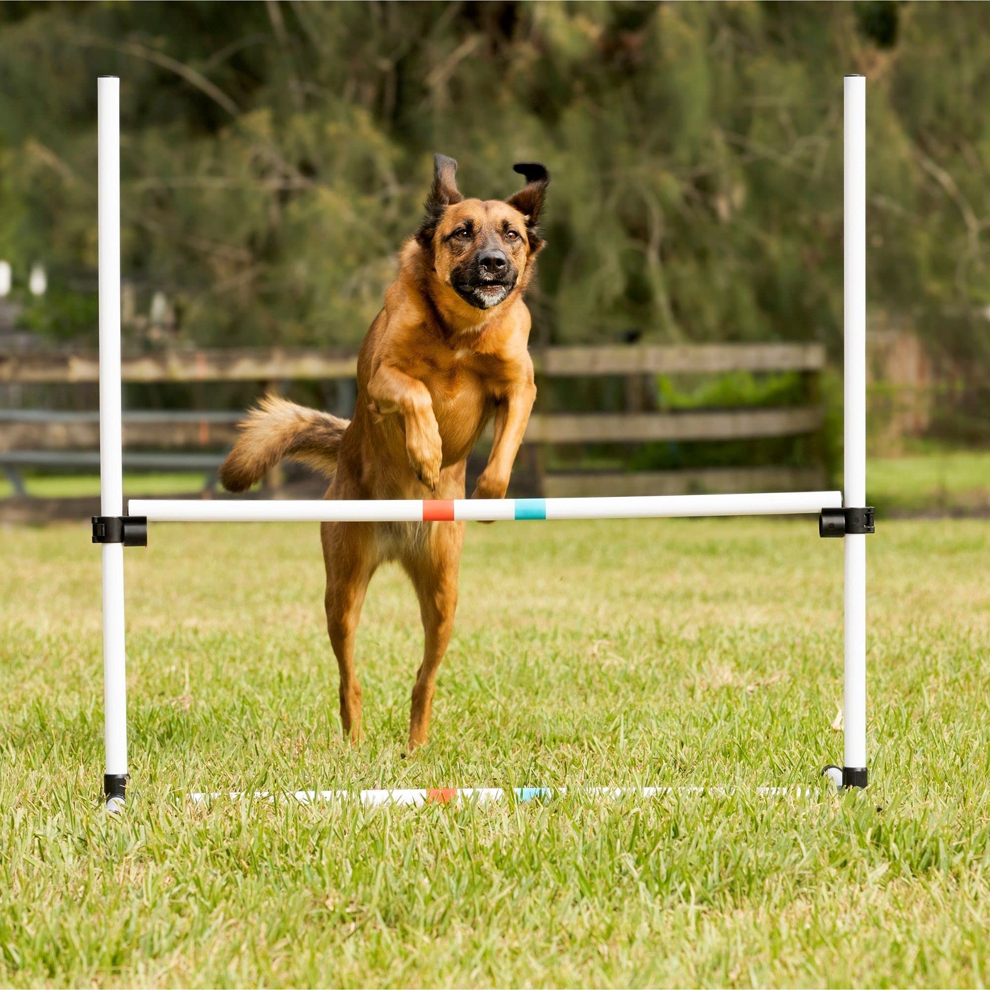 Midlee Dog Agility Bar Jumps- Set Of 4 Jumps
