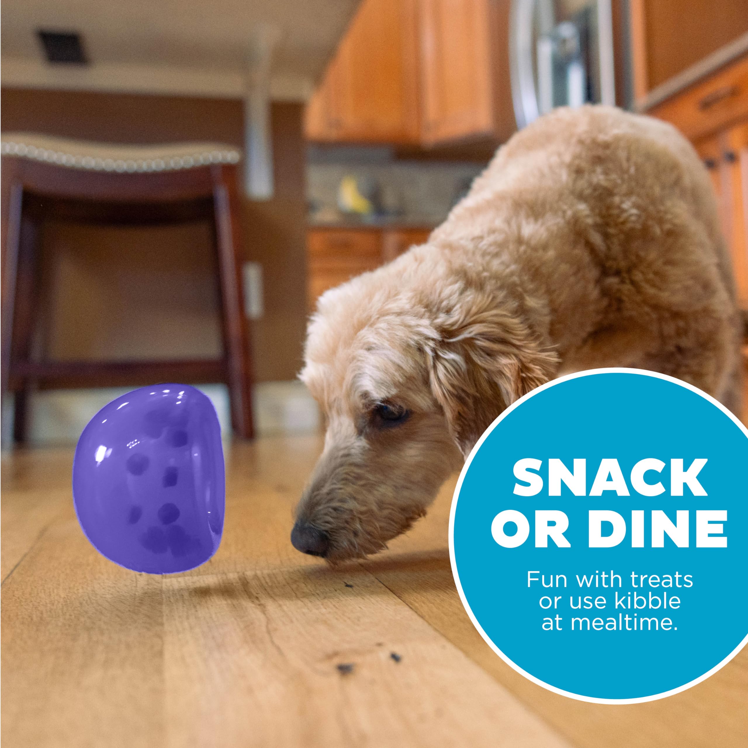 Outward Hound Lil' Snoop Interactive Treat Dispensing Dog Toy, Small, Purple