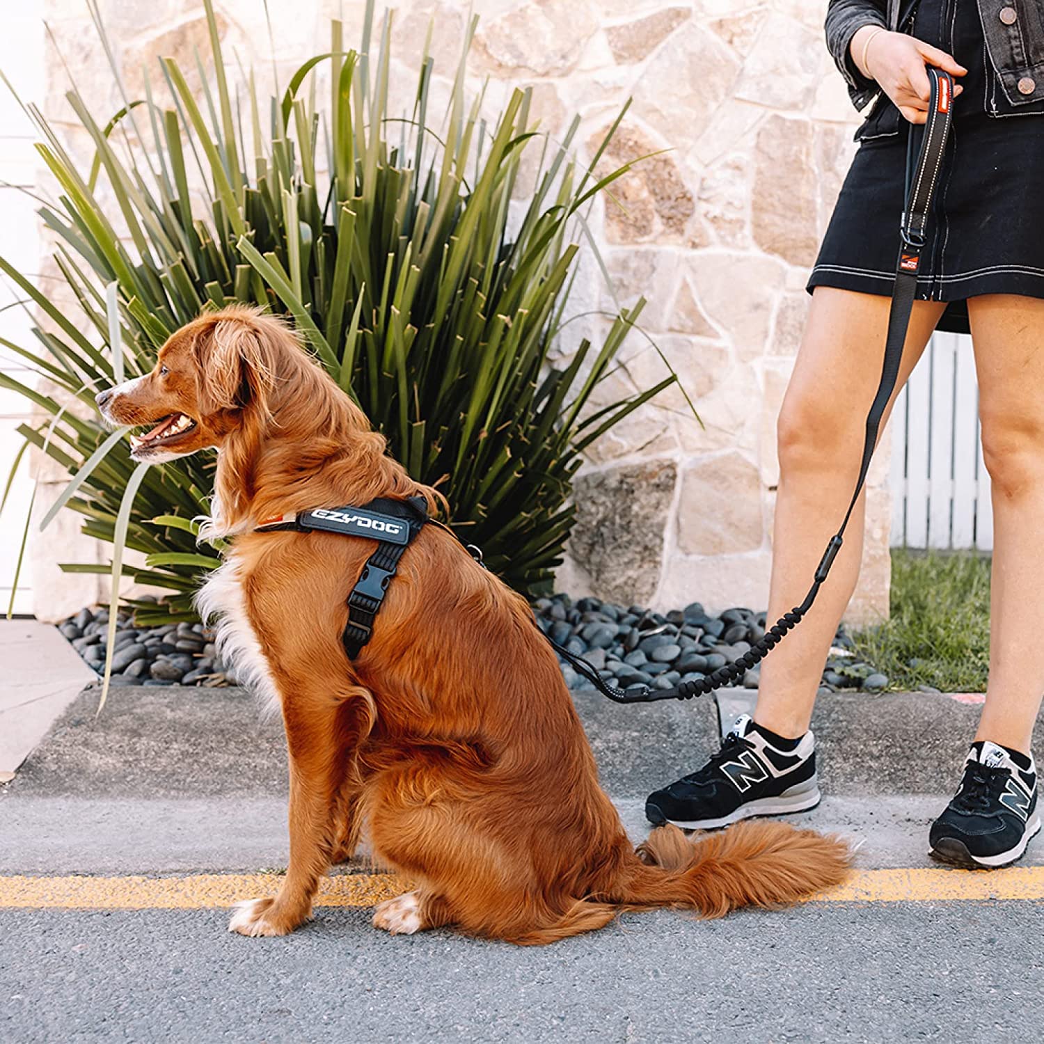 Ezydog Express Dog Harness | Dog Harness For Small, Medium And Large Dogs, Angled Ergonomic Design, Moulded Grip Handle, Easy Release Side Buckle (S, Black)