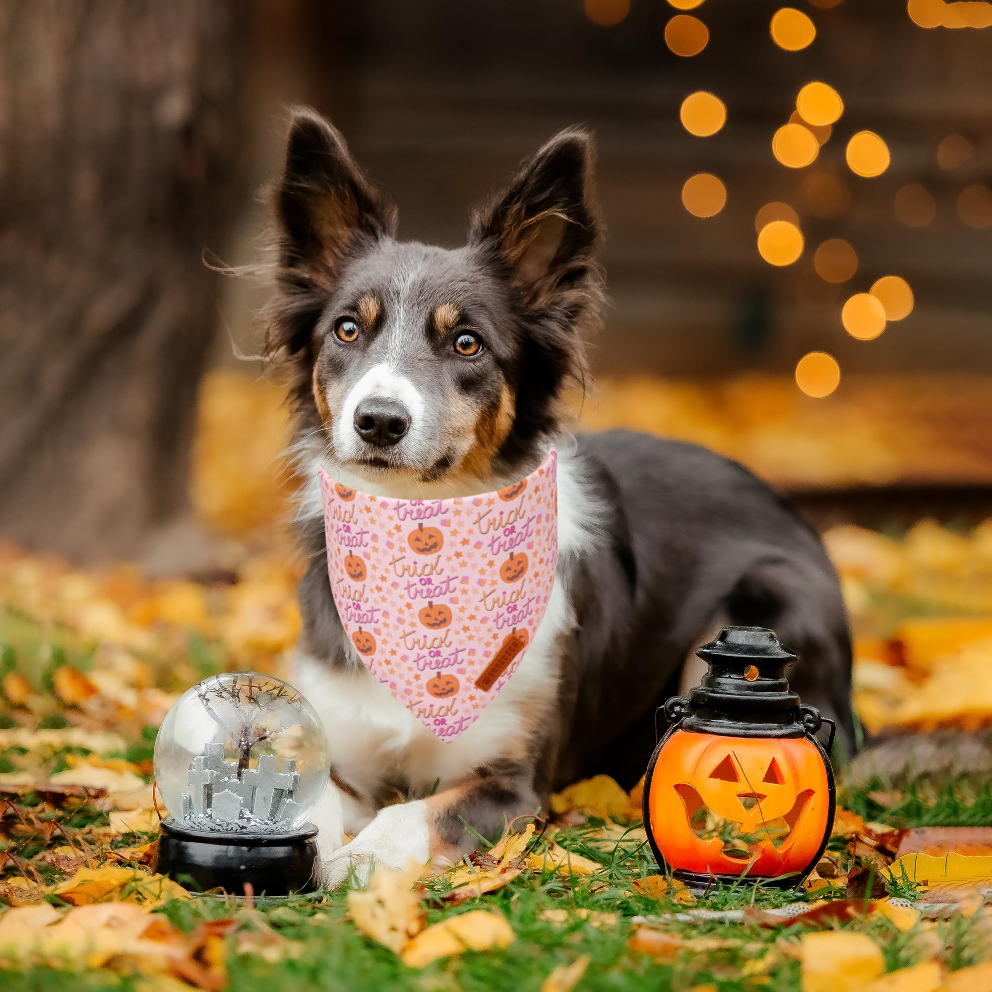 ADOGGYGO Halloween Dog Bandana, Pink Pumpkin Ghost Scarf, Adjustable Fit Female Halloween Bandanas for Medium Large Dogs Pets (L
