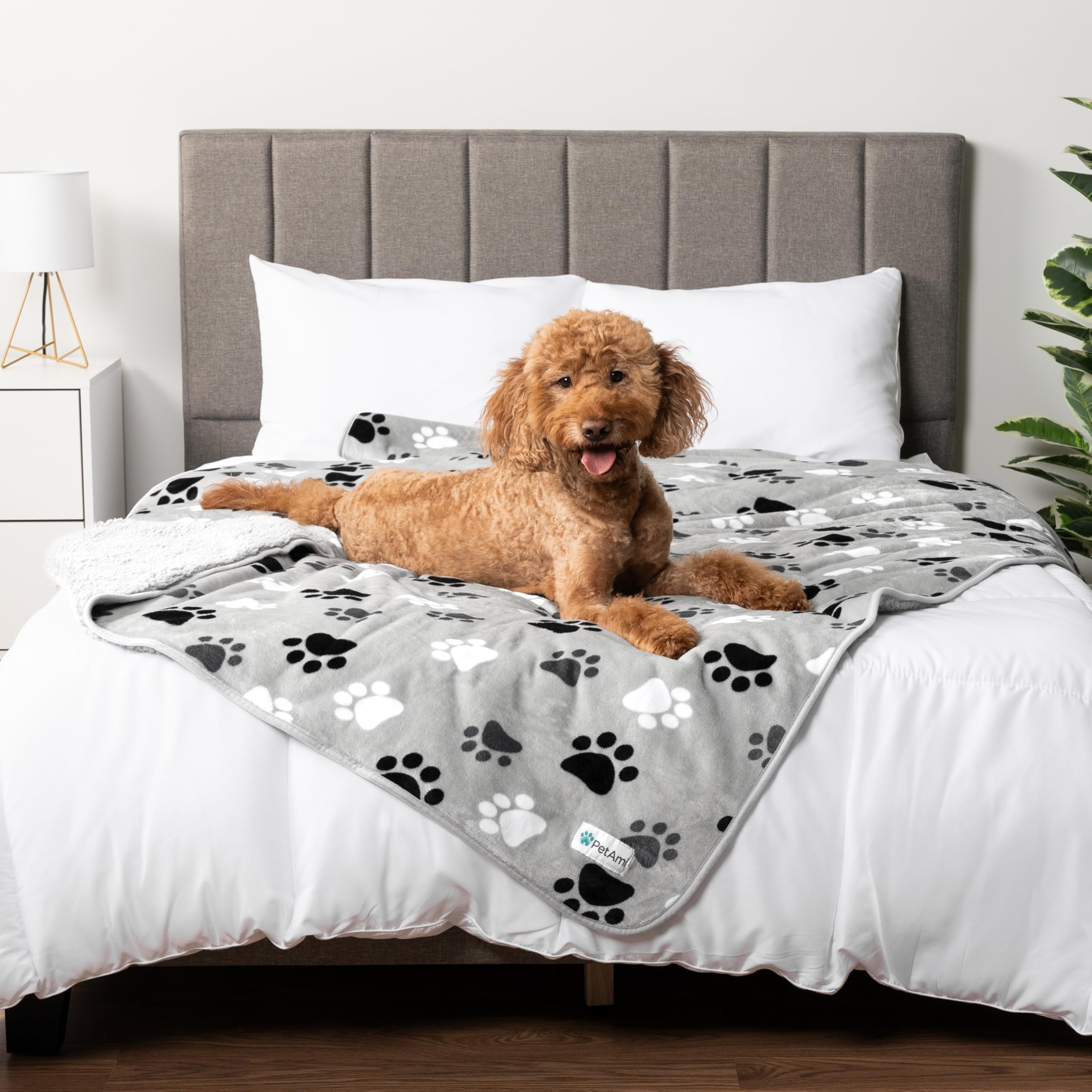 Petami Waterproof Dog Blanket For Extra Large Dogs, Pee Proof Pet Blanket For Bed Couch, Reversible Water Proof Blanket For Puppy Indoor Cat, Soft Dog Crate Cover Washable, Queen 90X90 Paw Gray