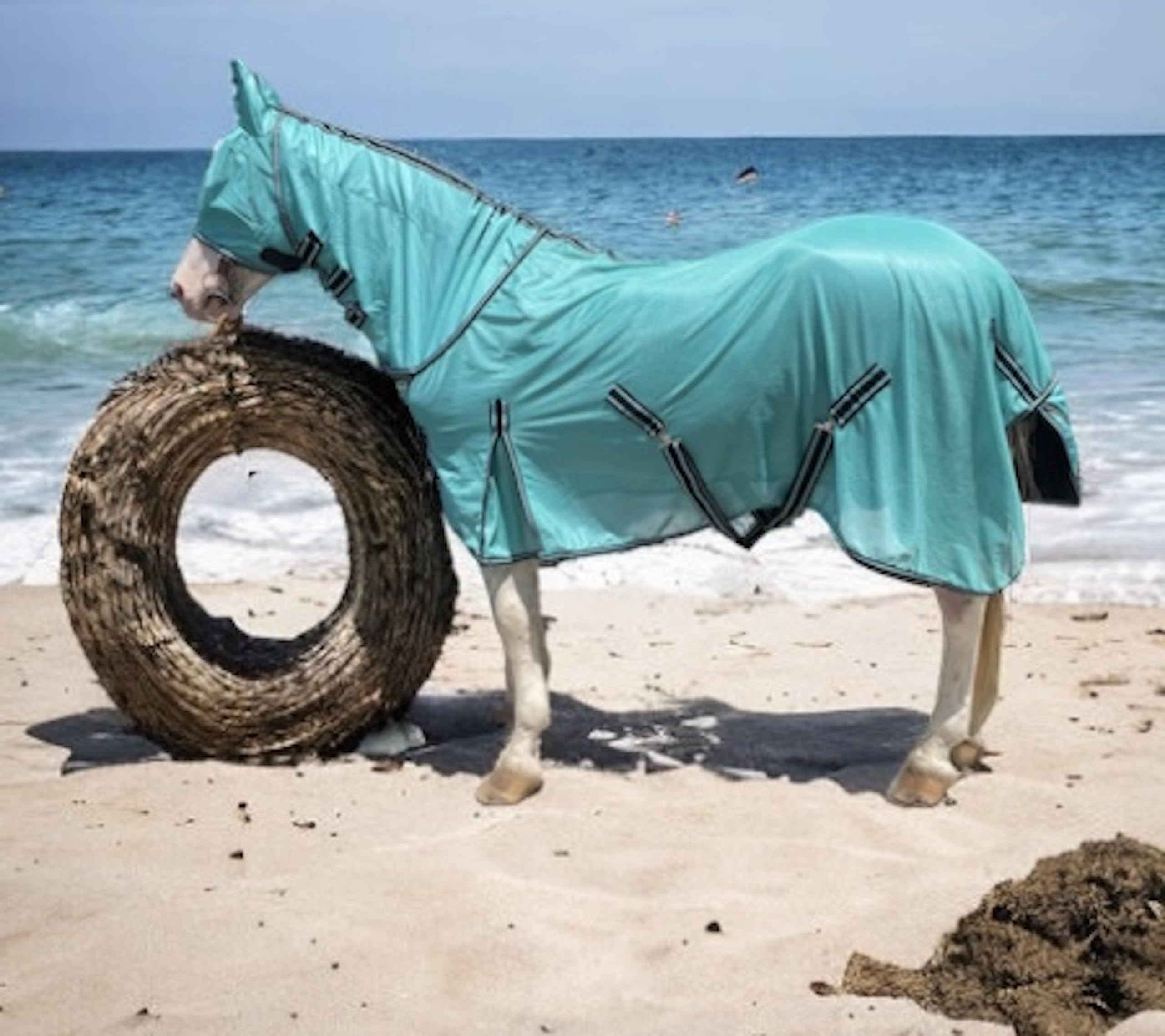 Majestic Ally Horse Fly Sheet with Neck Cover and Head Mask, Breathable UV and Bite Equine Protection, Adjustable Body Straps, B