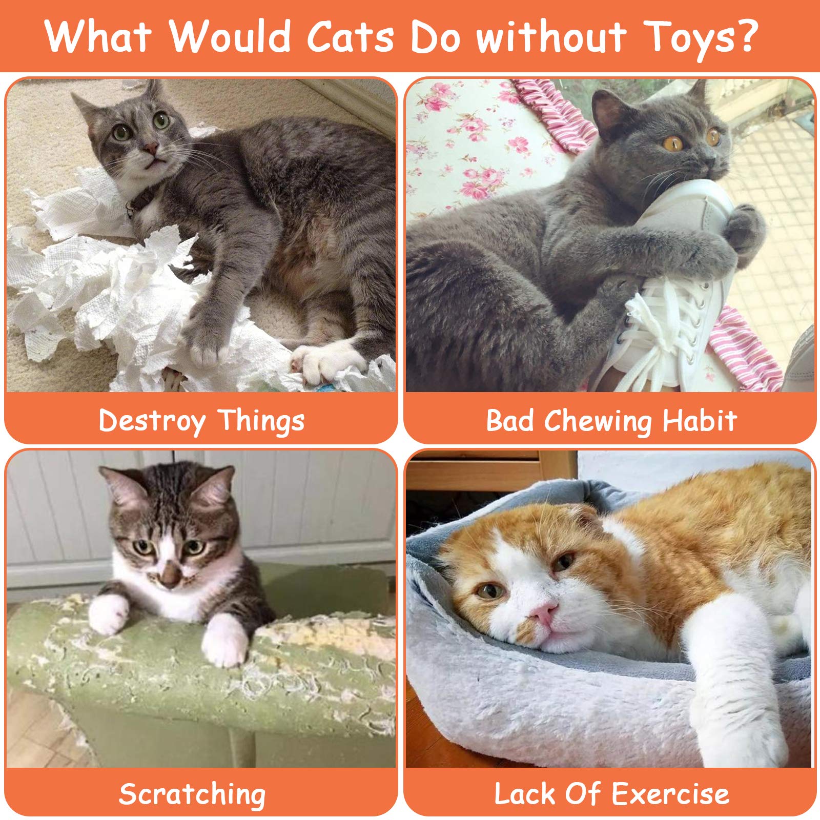 Etekyer Catnip Toys, Cat Toys, Cat Toys For Indoor Cats, Catnip Toys For Cats, Cat Toys With Catnip, Interactive Cat Toy, Cat Chew Toy, Cat Pillow Toys, Cat Toys For Kittens Kitty