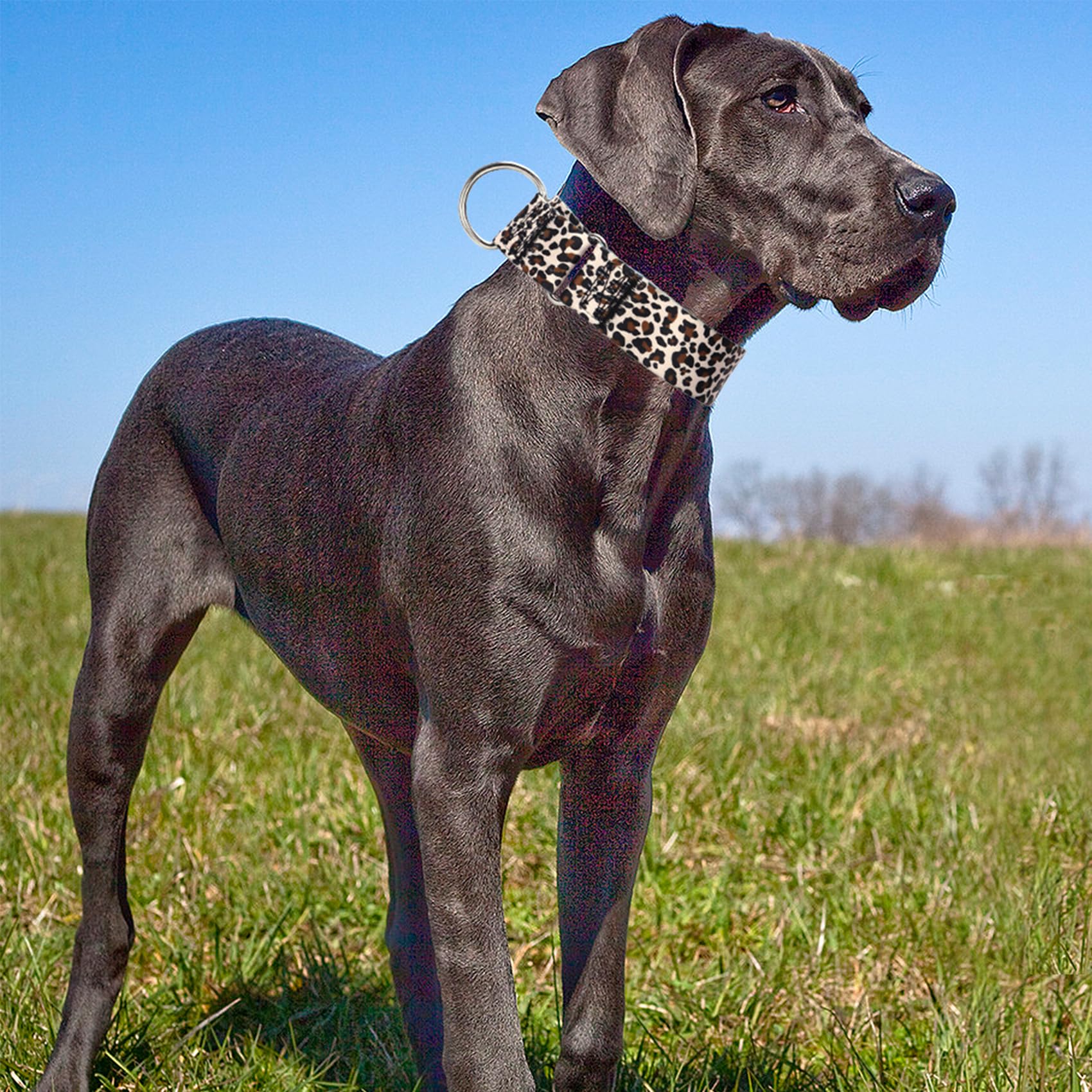 1.5 Inches Martingale Collar For Xl Dogs,Wide Adjustable Heavy Duty Training Collars With Leopard Pattern,No Slip Dog Collar Per