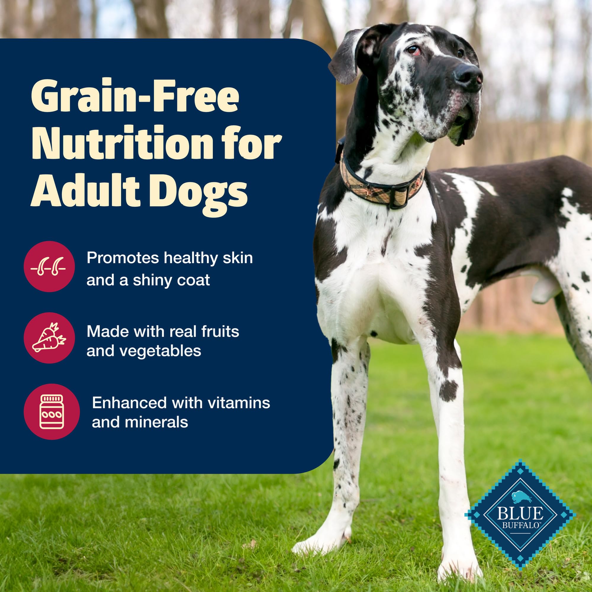 Blue Buffalo Freedom Grain-Free Dry Dog Food, Complete & Balanced Nutrition for Adult Dogs, Made in the USA With Natural Ingredi