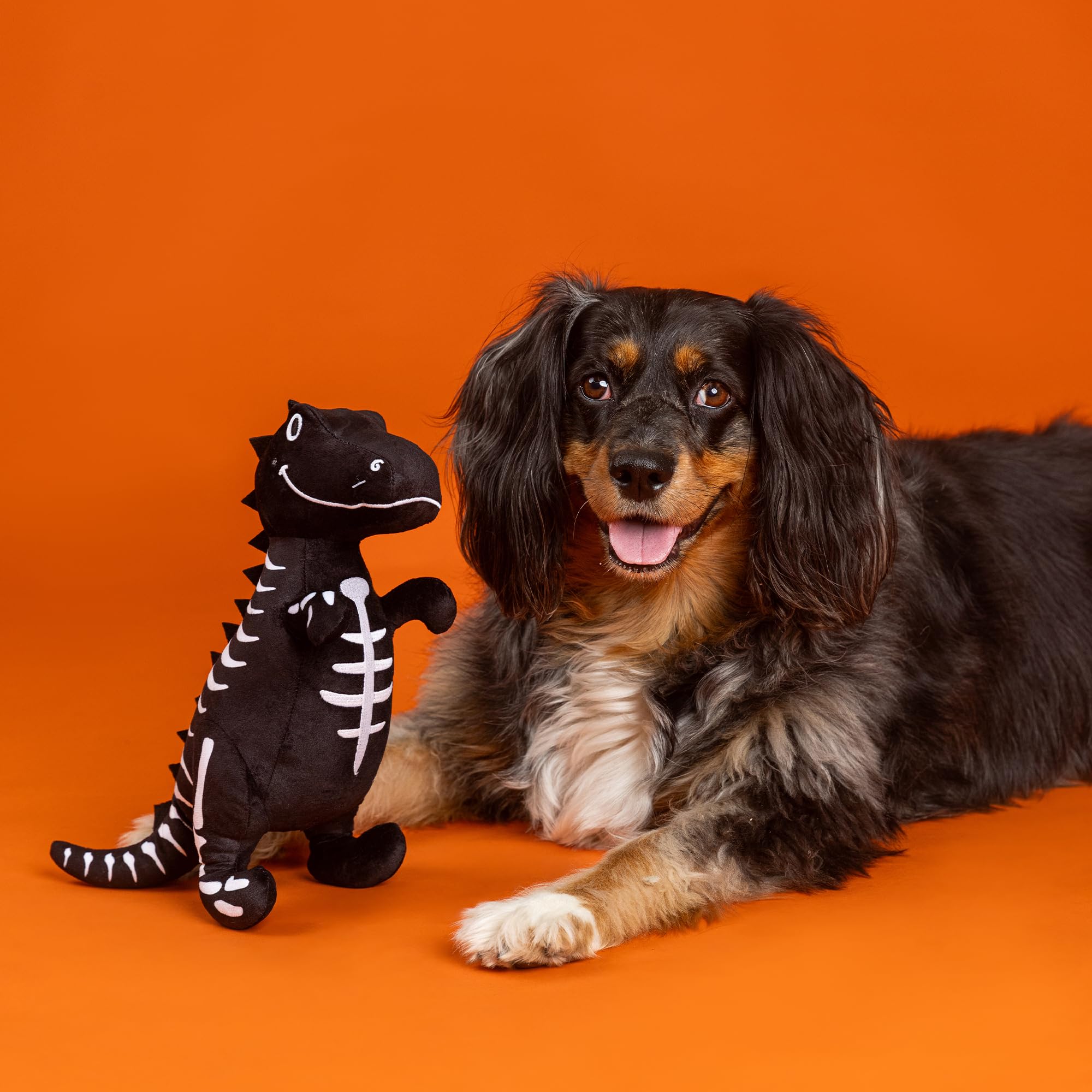 Fringe Studio Pet Toy, Trick RAWR Treat Glows in The Dark Plush Dog Toy, PetShop Collection (314607)