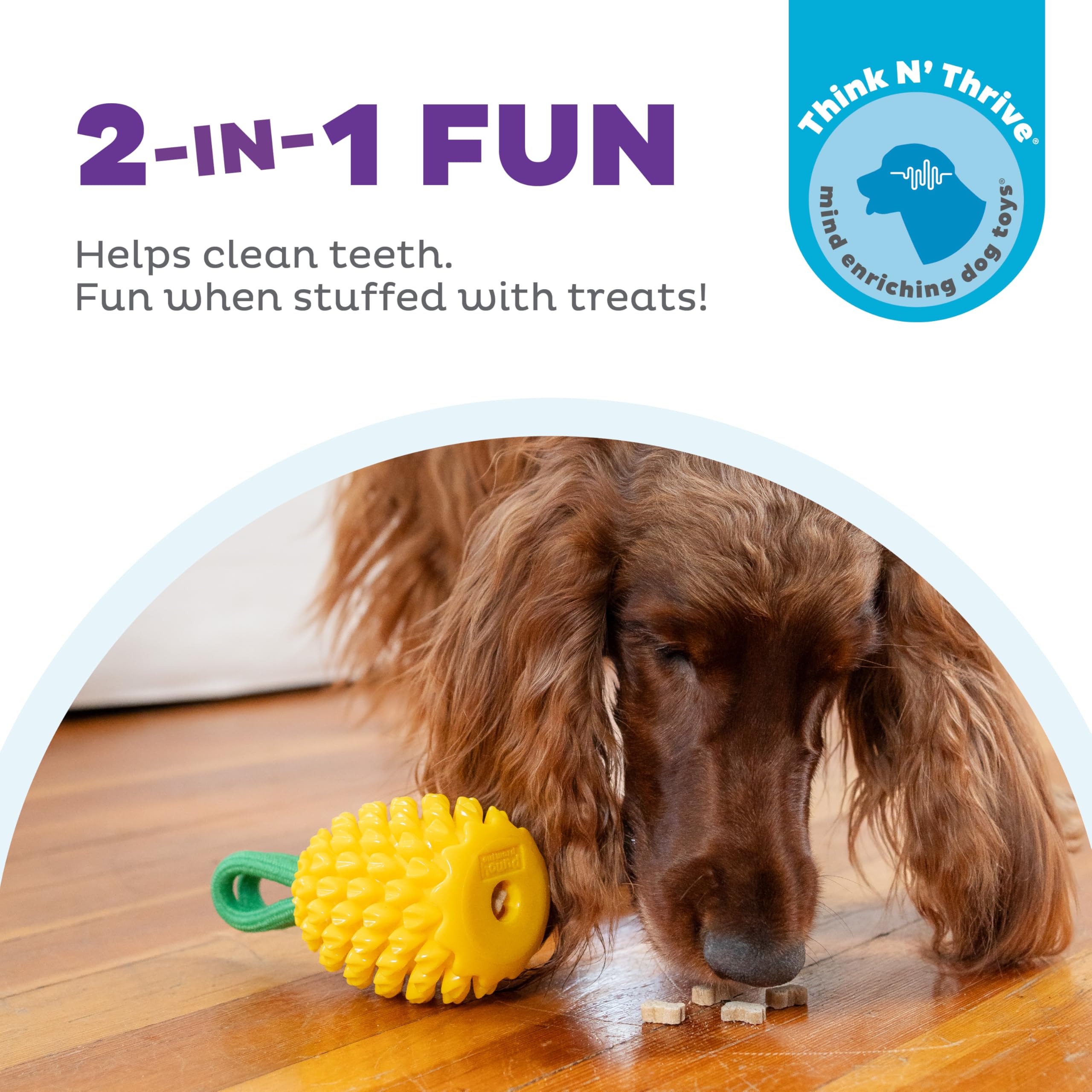 Outward Hound By Planet Dog Dental Pineapple 2-In-1 Interactive Dog Chew Toy And Treat Stuffer, Medium, Yellow