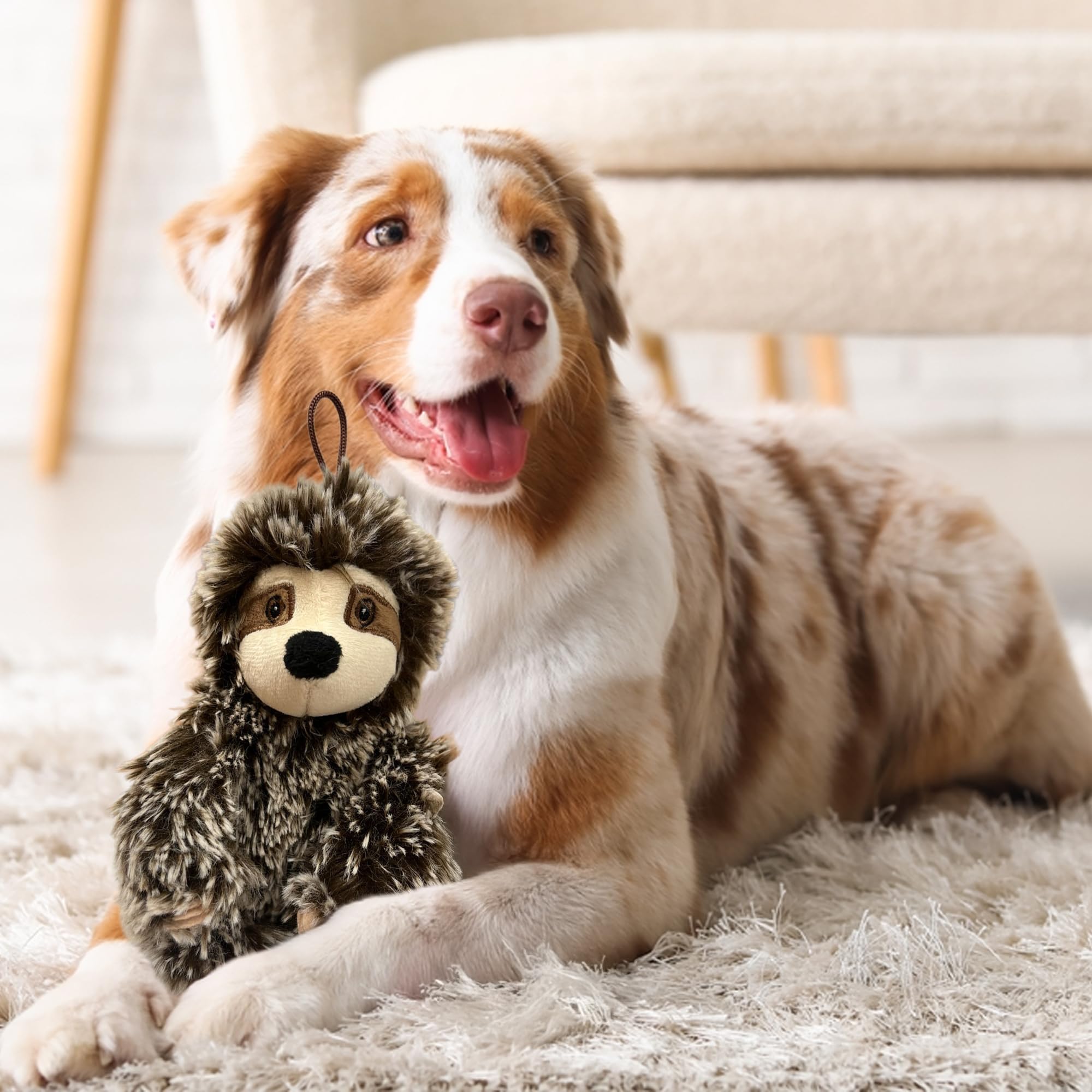 Sloth Dog Toy with Squeaker | Medium Toy Small Dogs | Plush Dog Toy | Multicolor | 6'' | Officially Licensed