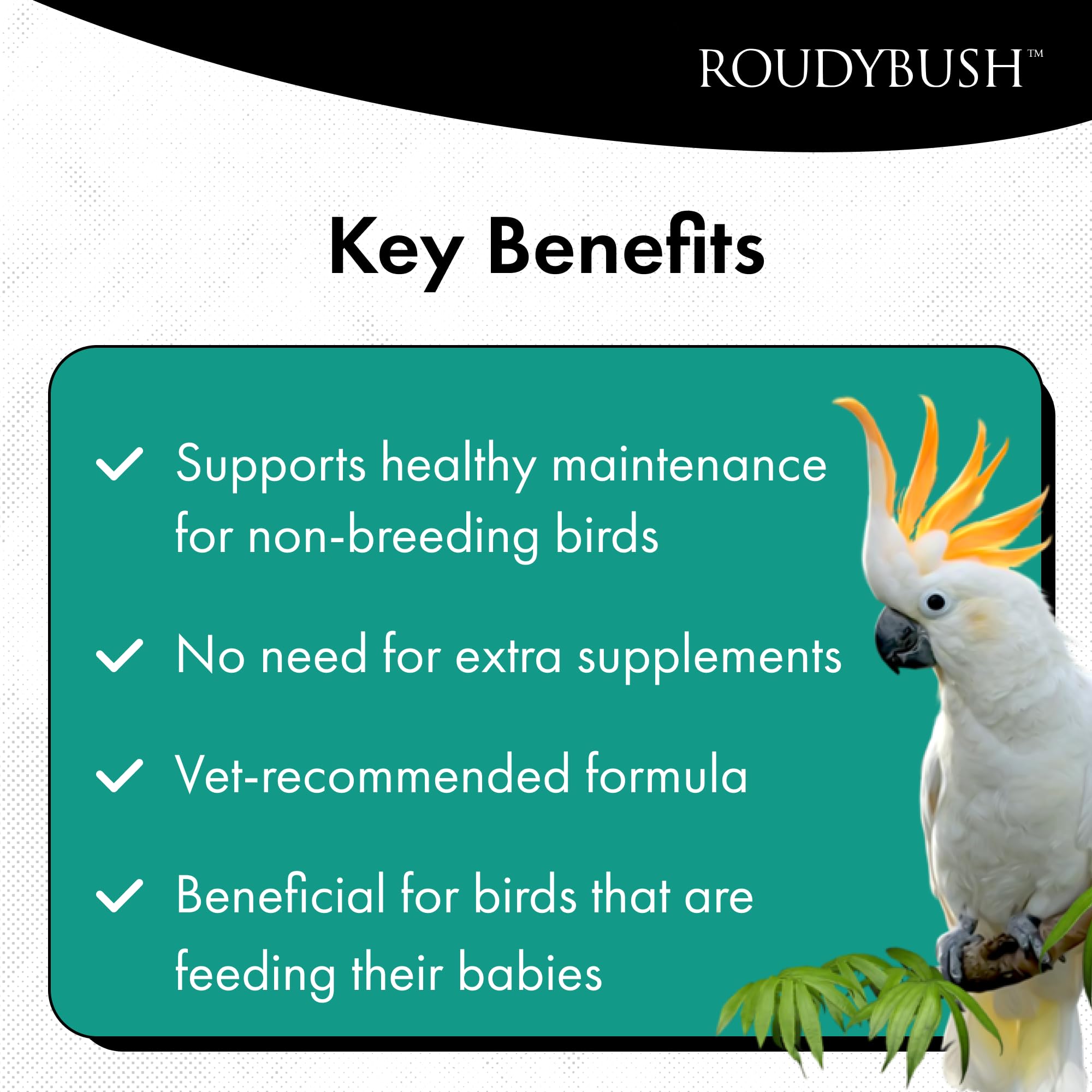 Roudybush Daily Maintenance Bird Food, Medium, 44-Ounce