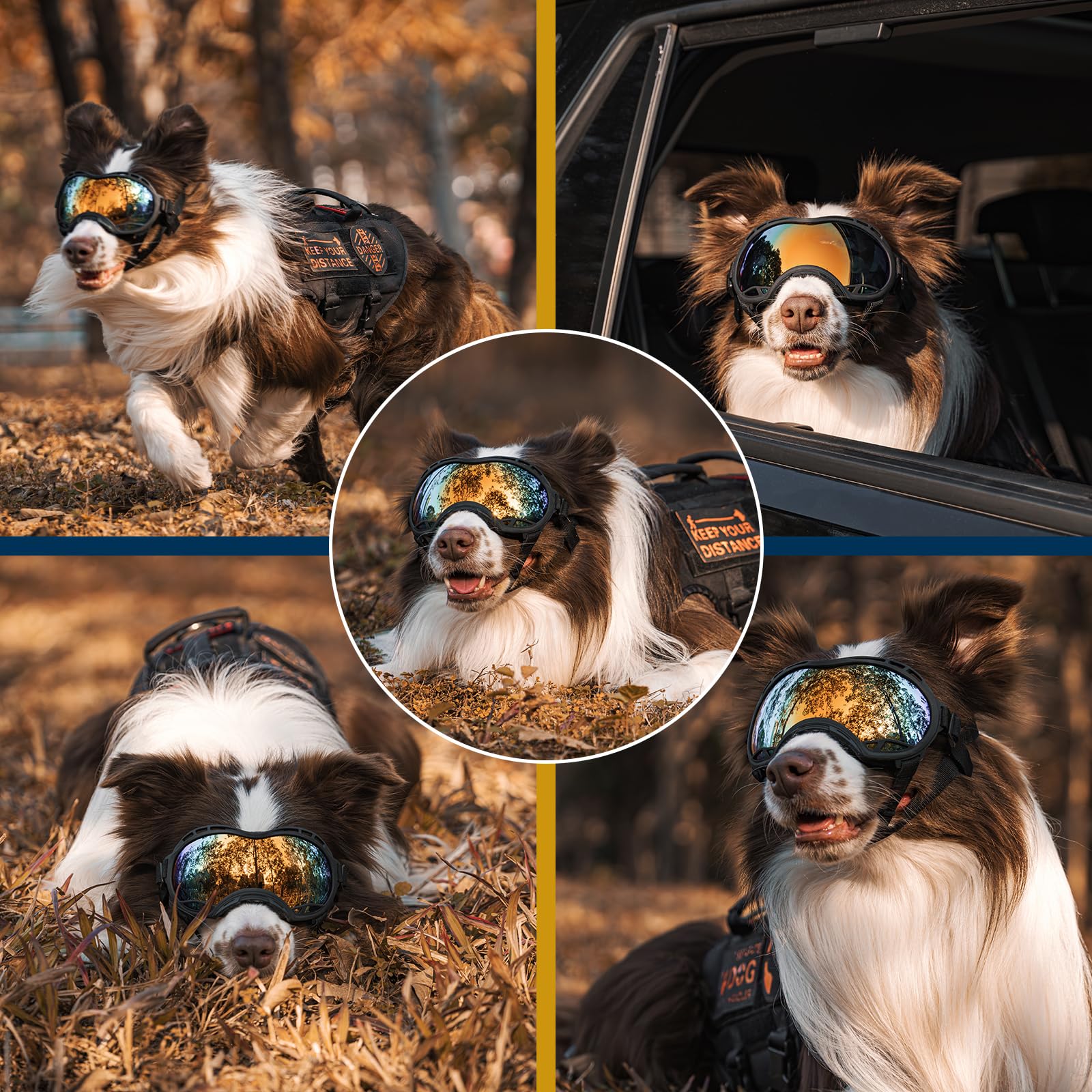 Onetigris Dog Goggles, Dog Sunglasses For Large Dogs With Adjustable Strap Uv Protection, Windproof, Suitable For Medium Large B