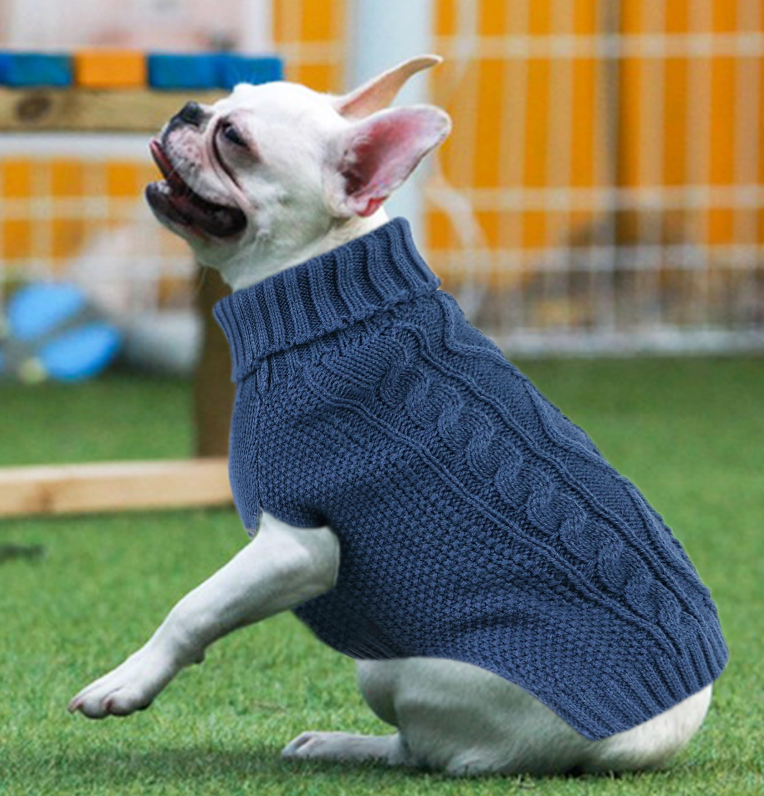 Dog Sweaters for Small Dogs Small Dog Sweater for Chihuahua Warm Dog Clothes Winter Puppy Clothes Turtleneck Pet Sweater Cable K