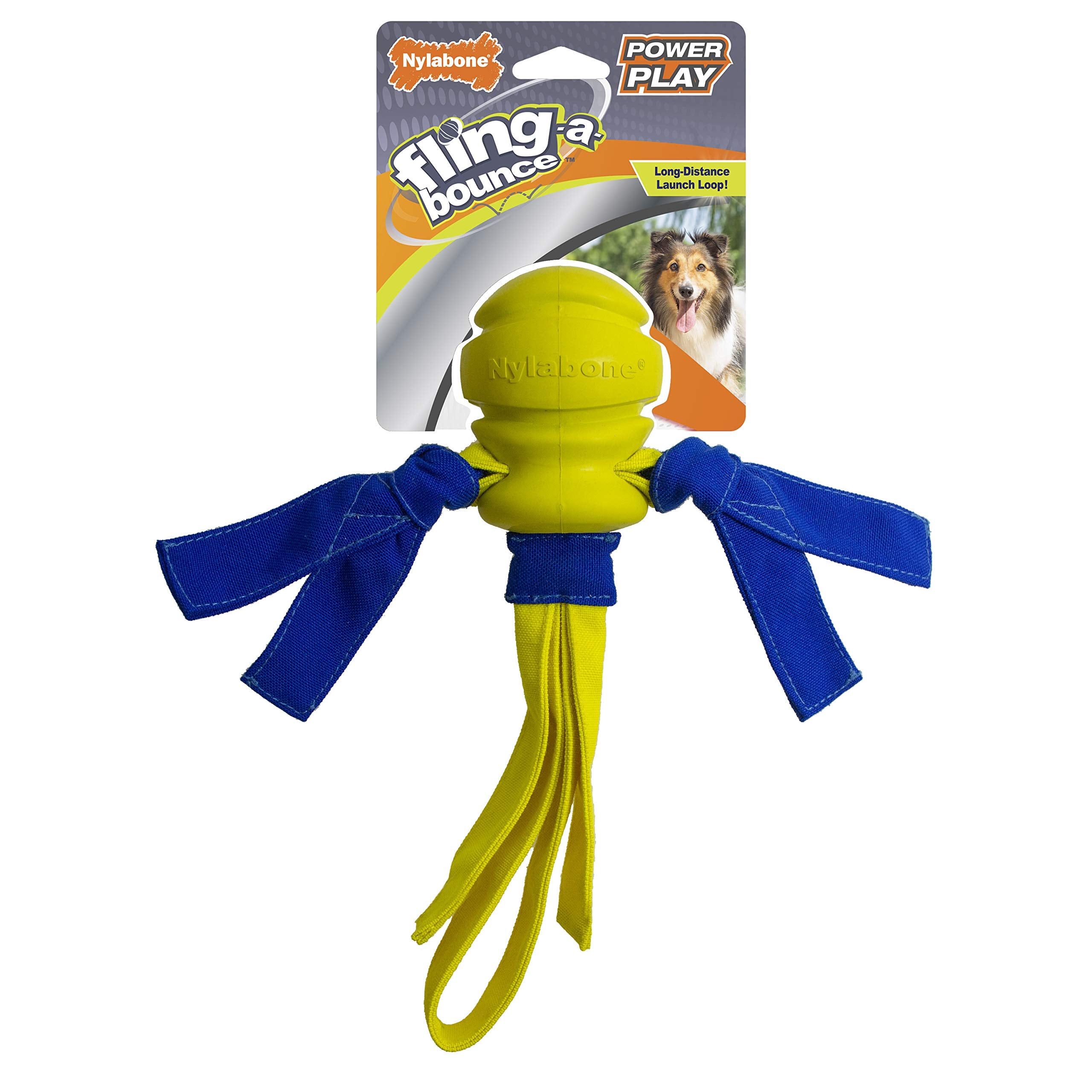 Nylabone Power Play Dog Fetch Toys Fling-A-Bounce Medium (1 Count)