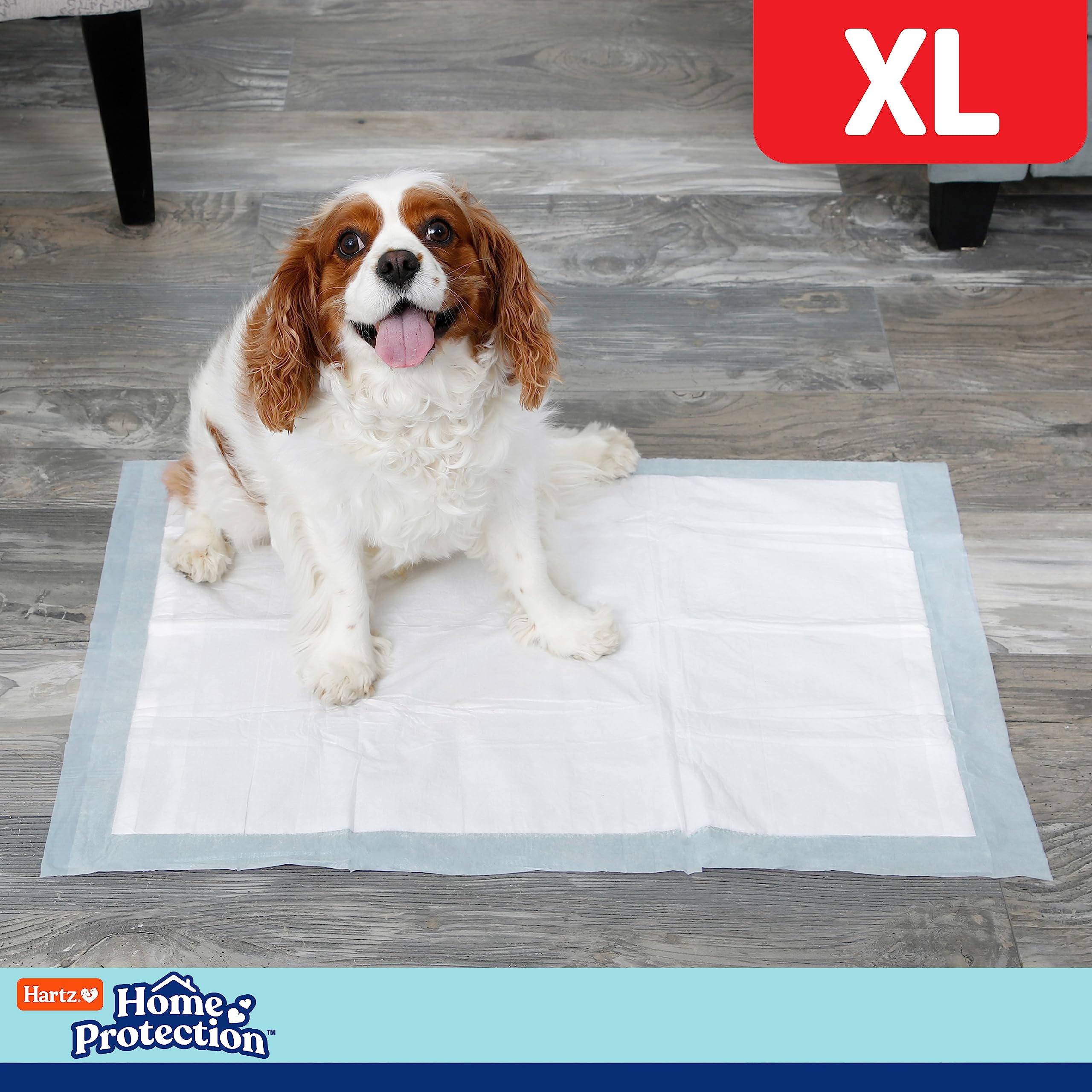 Hartz Dog Pads, XL 60 Count, Super Absorbent, Mountain Fresh Scent, Odor Eliminating, Model 3270012037