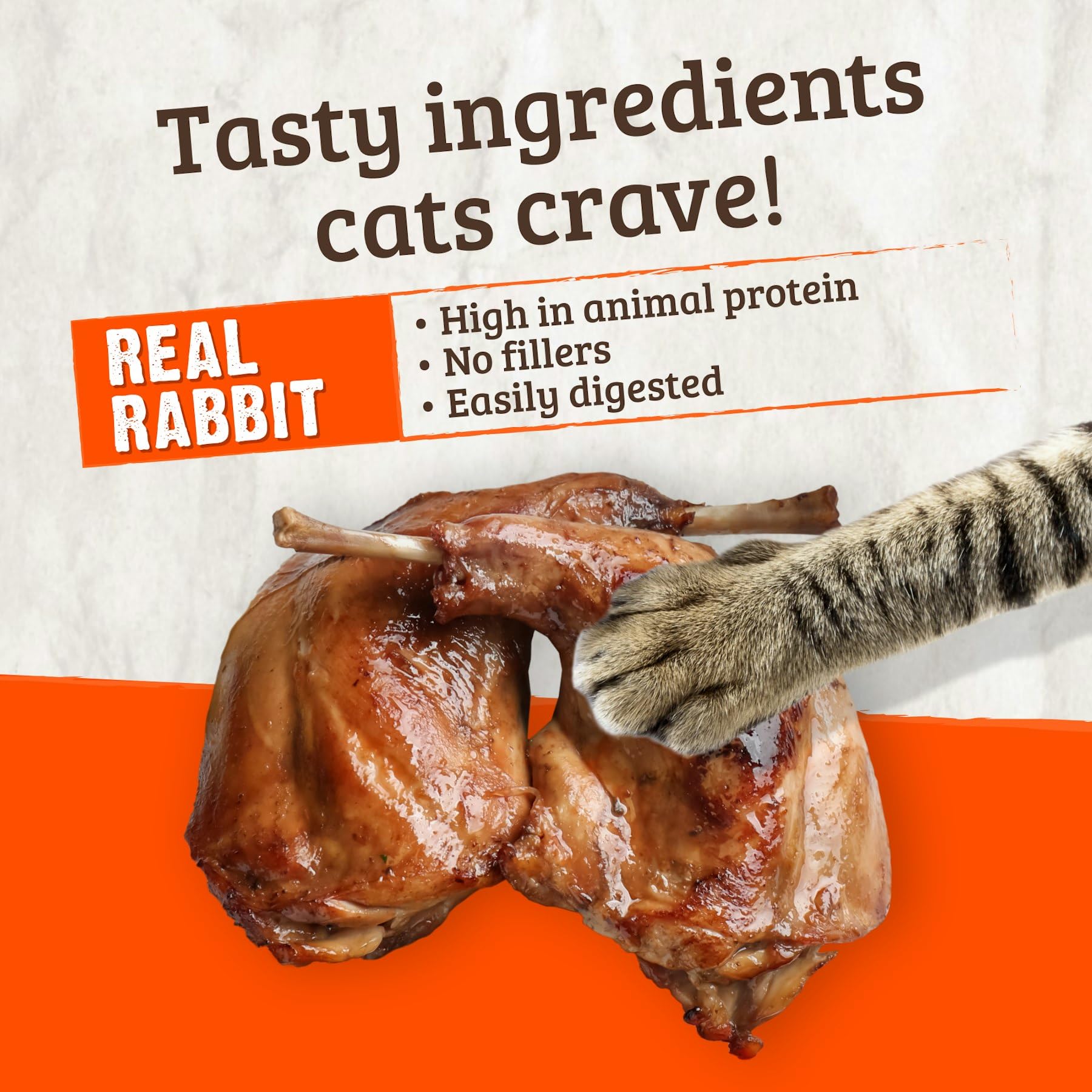 Rawz Real Rabbit Dry Food for Cats with Freeze Dried Coating (3.5 Pounds) Made in USA