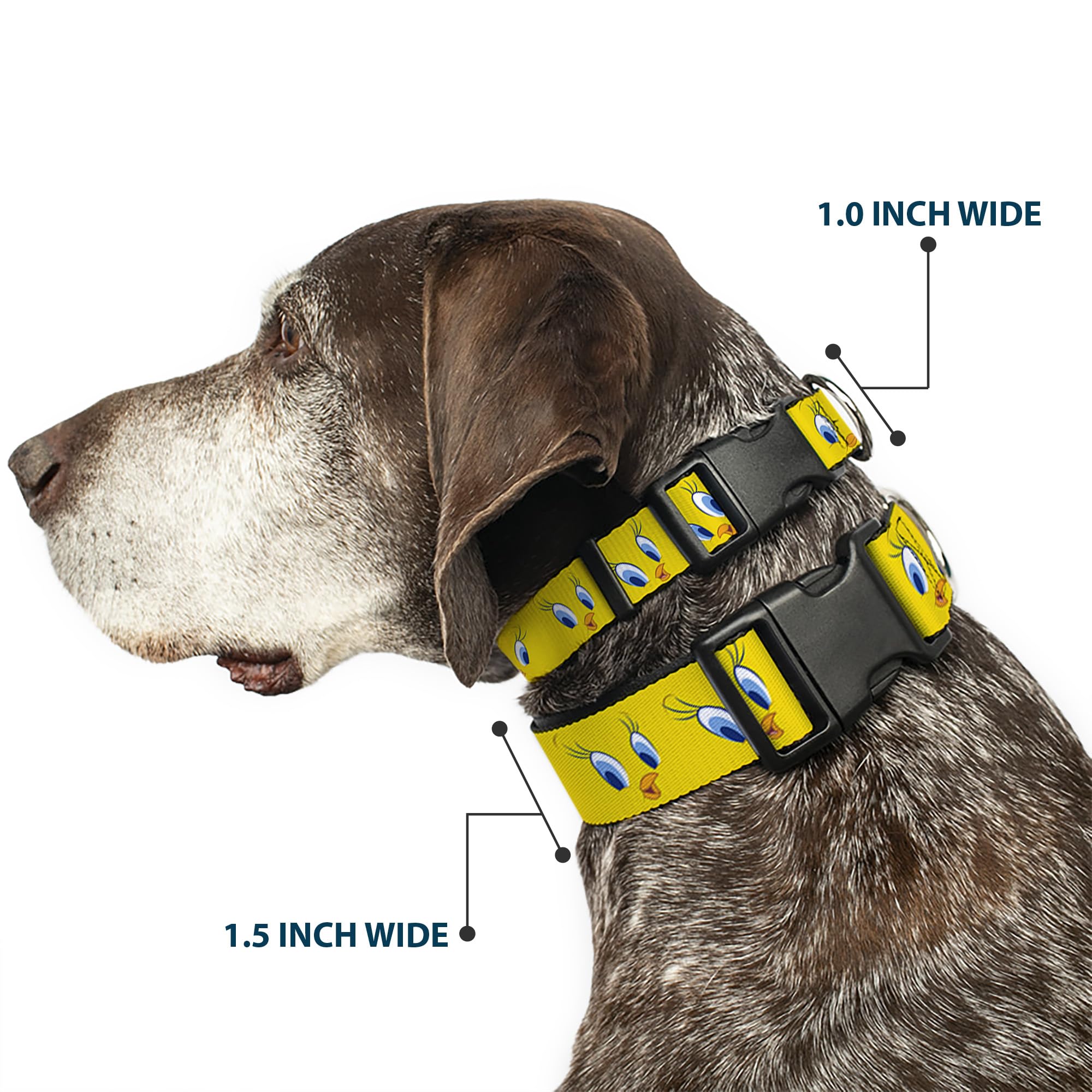 Buckle-Down Plastic Clip Collar - Tweety Bird Expressions2 - 1.5'' Wide - Fits 16-23'' Neck - Medium