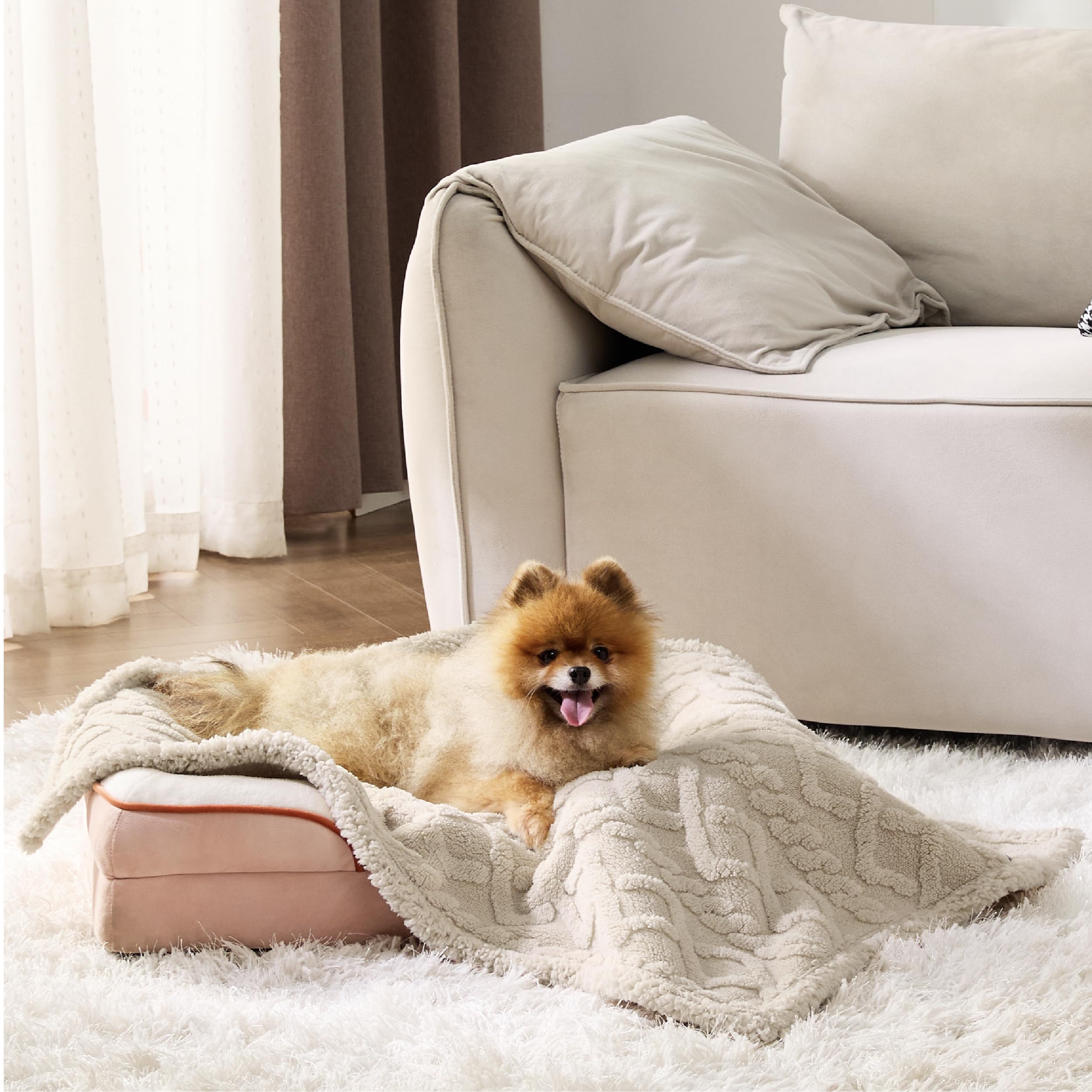 Bedsure Waterproof Dog Blankets For Small Dogs - Pet Blanket For Couch Protector Washable, Premium Jacquard Coral Fleece Cat Thr