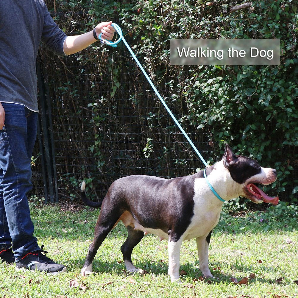 Grand Line Slip Lead Dog Leash, 5Ft Reflective Slip Rope, Puppy Training Walking Controlling Lead, Slip Collar Pet Leash For Small, Medium, Large Dogs (Blue, Medium-2/5In X 5Ft)
