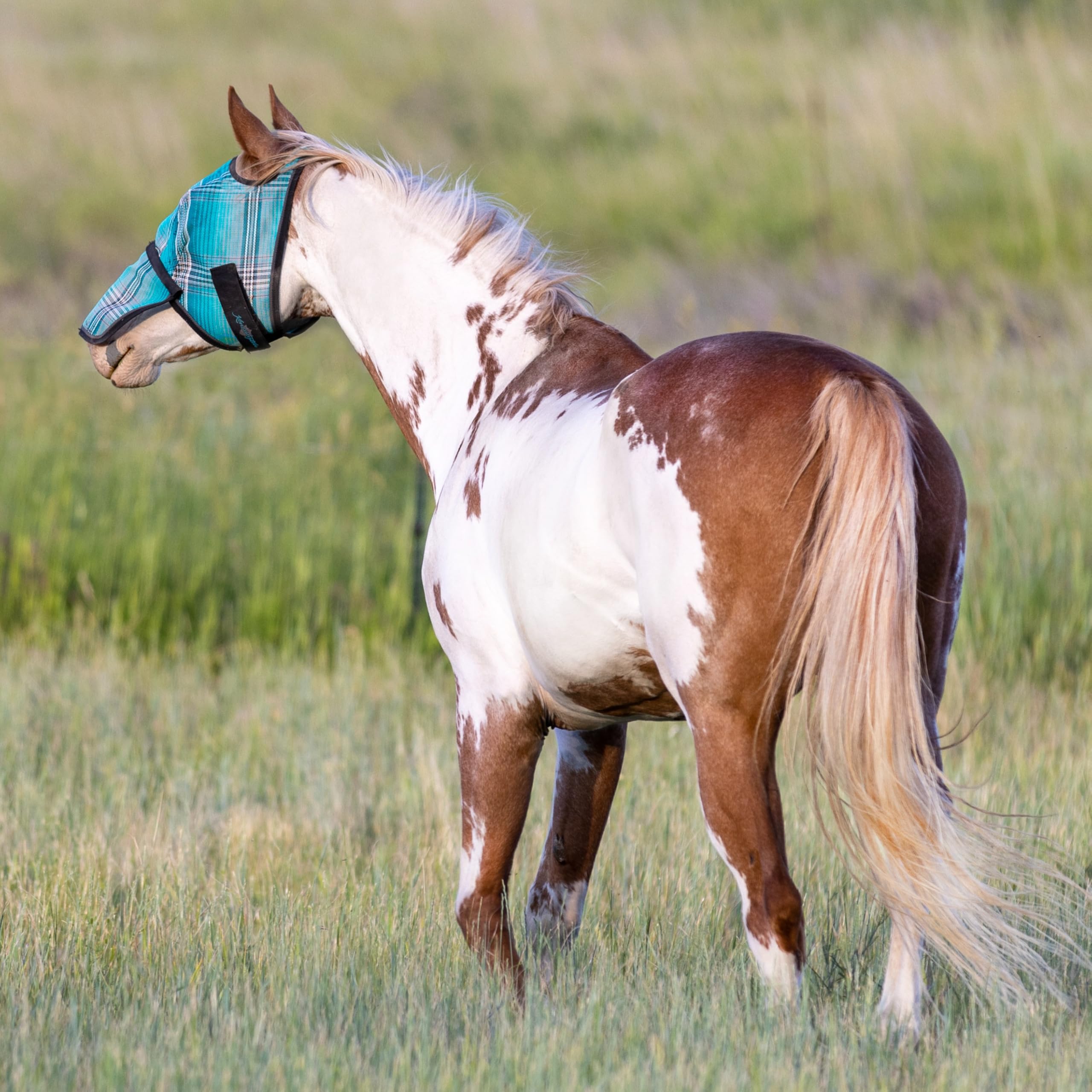 Kensington Fly Mask w/Web & Nose Size: X.Large Color: 2021-Atlantis