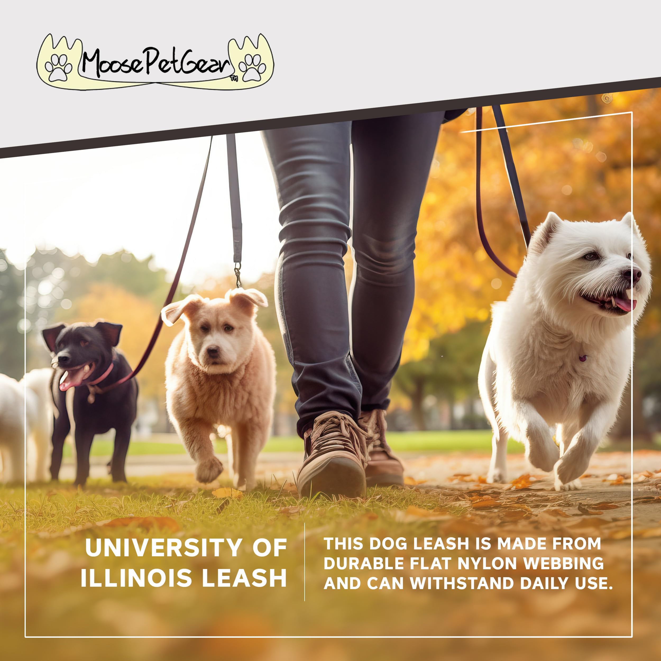 Moose Pet Wear Leash 1' X 4', University Of Illinois - Carbon Fiber