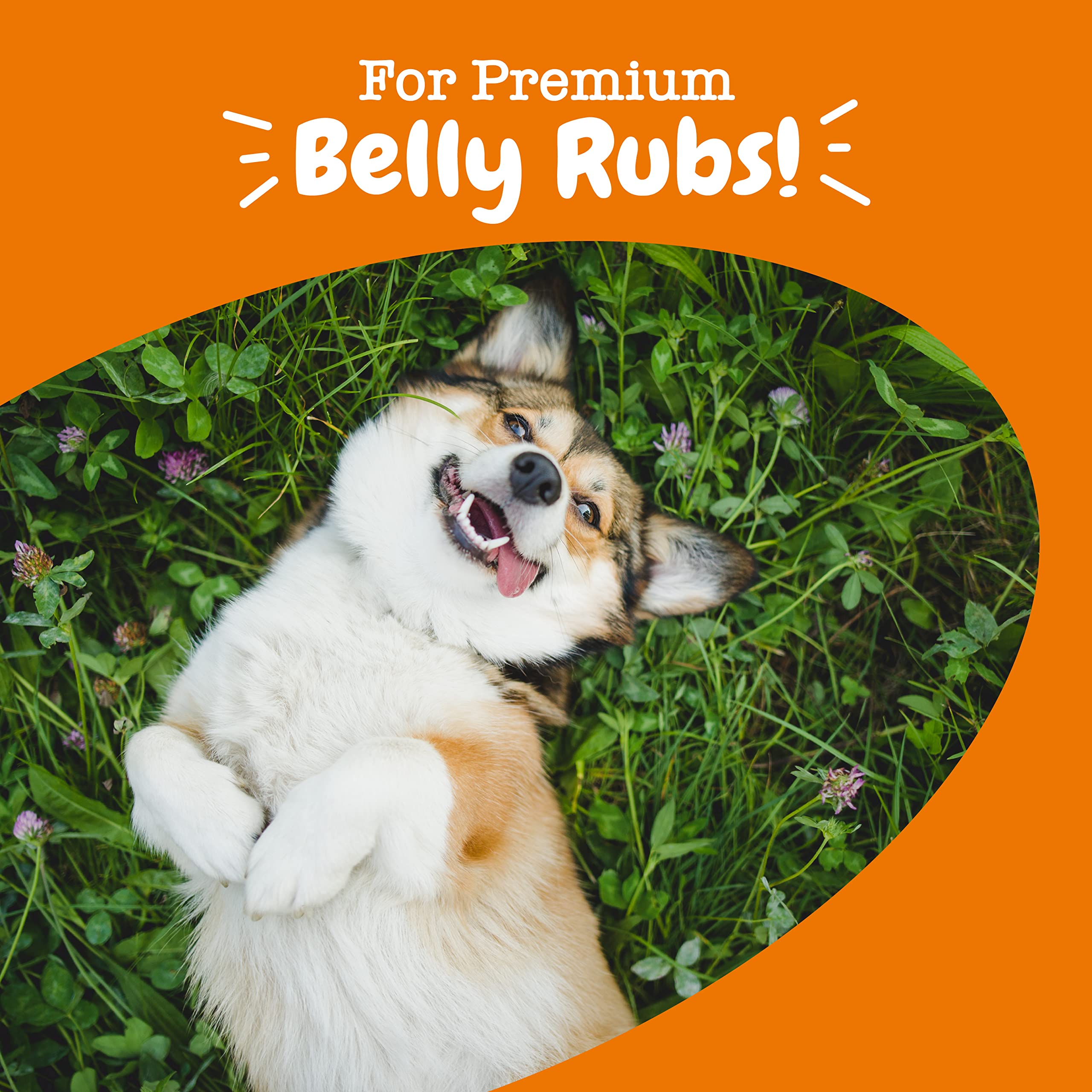 Zesty Paws Probiotic for Dogs - Probiotics for Gut Flora, Digestive Health, Occasional Diarrhea & Bowel Support - Clinically Stu