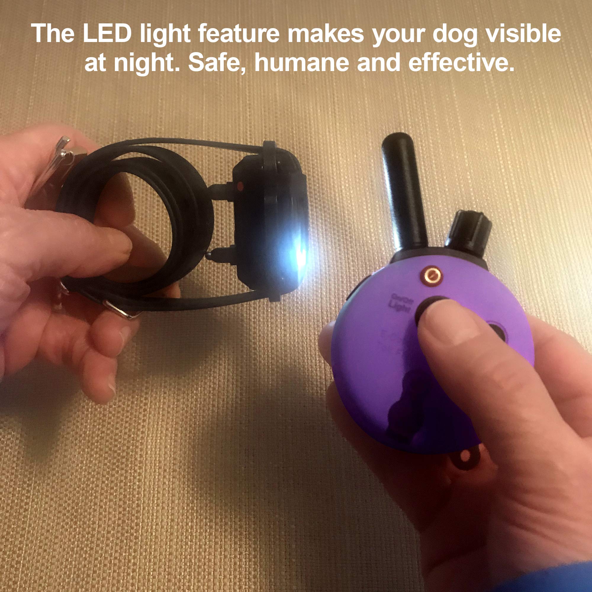 Educator E-Collar Humane Dog Training Collar With Remote, 100 Safe Tapping Stimulation Levels, Night Light, Waterproof, Rechargeable, 1/3 Mile 1 Small Dog, Purple