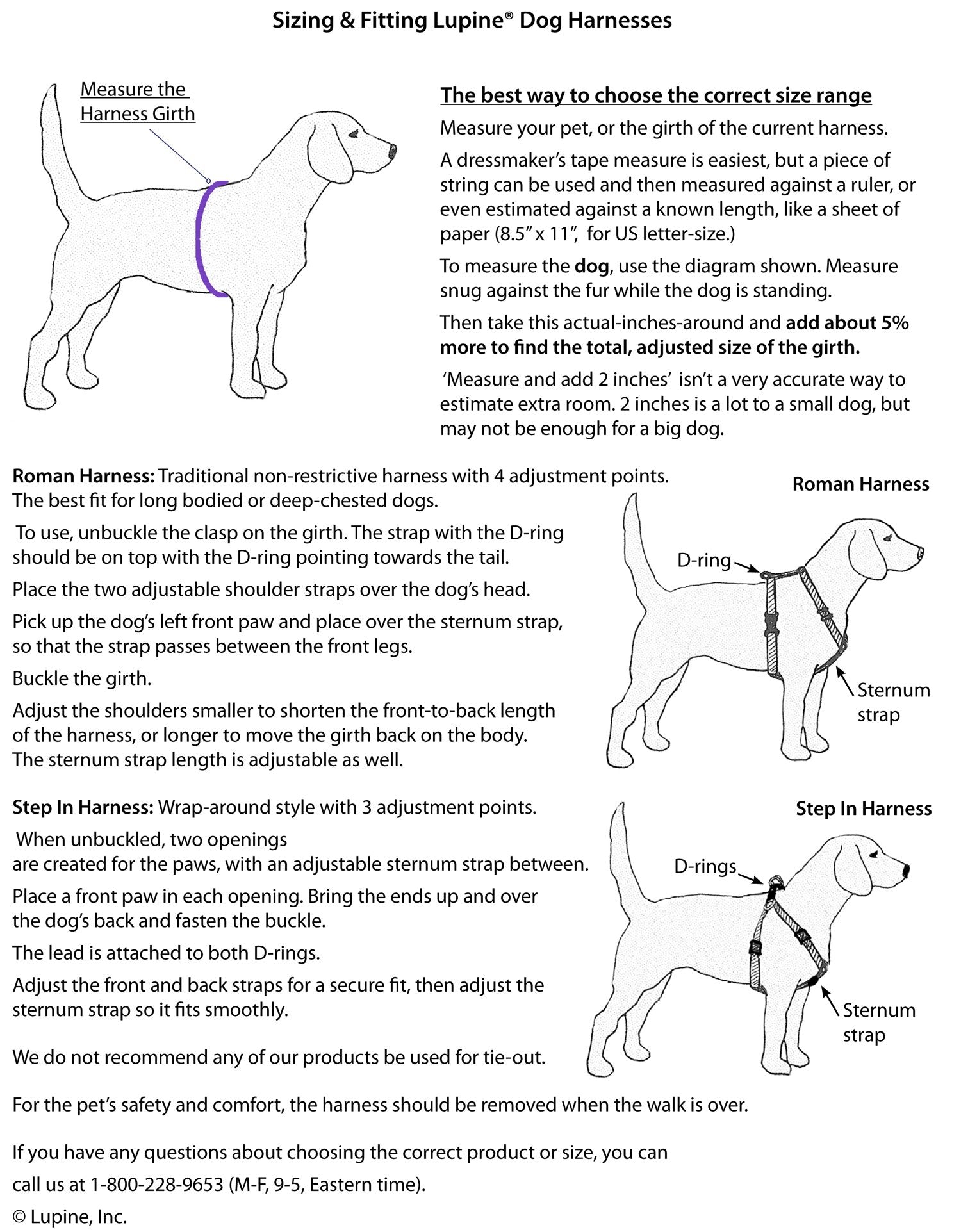 LupinePet Originals 3/4'' Rain Song 20-32'' Adjustable Roman Dog Harness for Medium Dogs